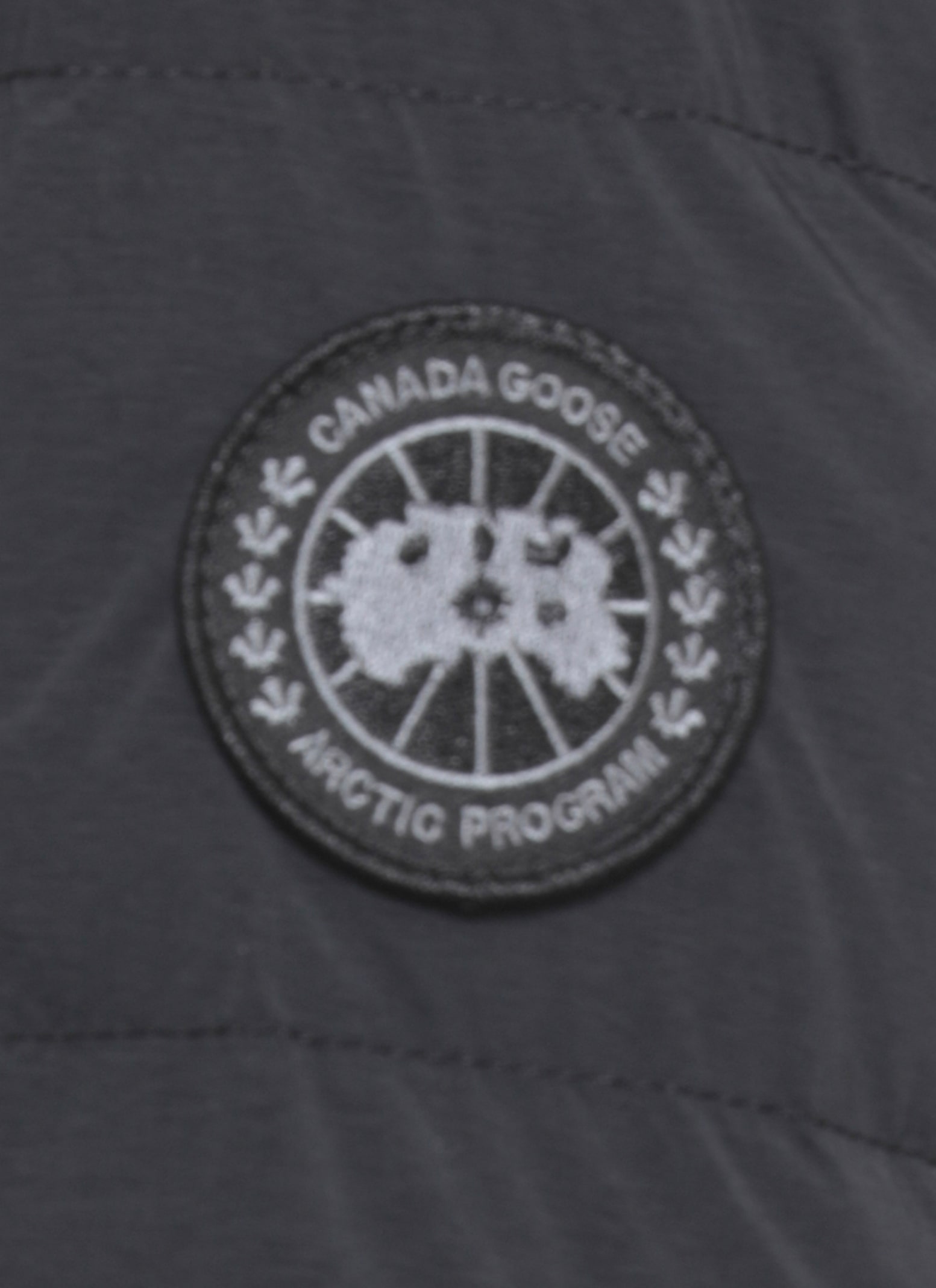 Canada Goose Clair Down Jacket In Black