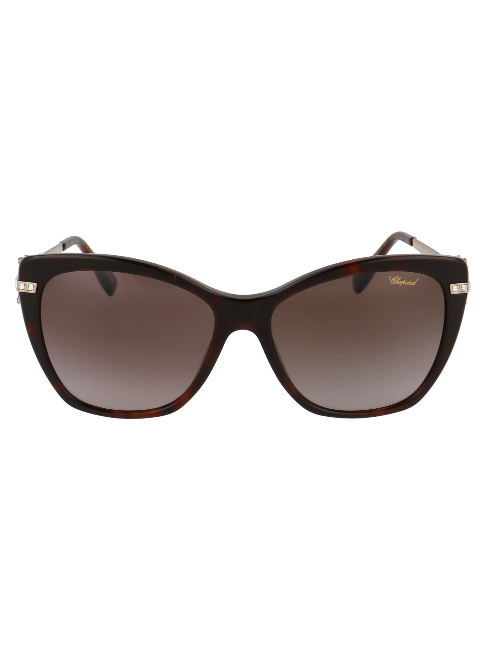 Chopard Sch232s Sunglasses In 9xkp Shiny Dark Havana