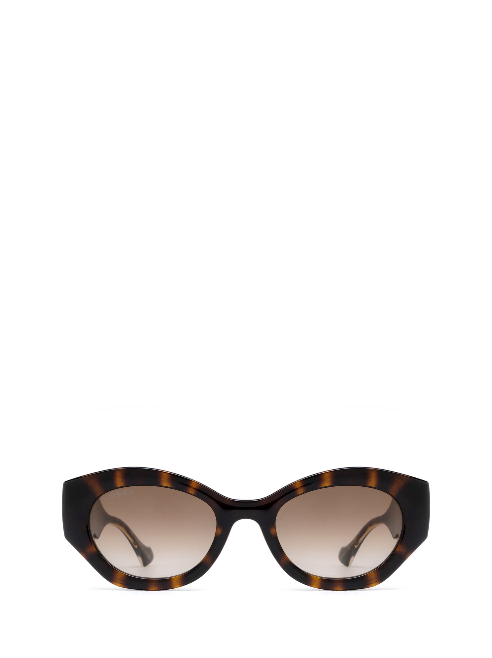 Gg1553s Linea Gucci Lido 002 Havana Crystal Brown Sunglasses