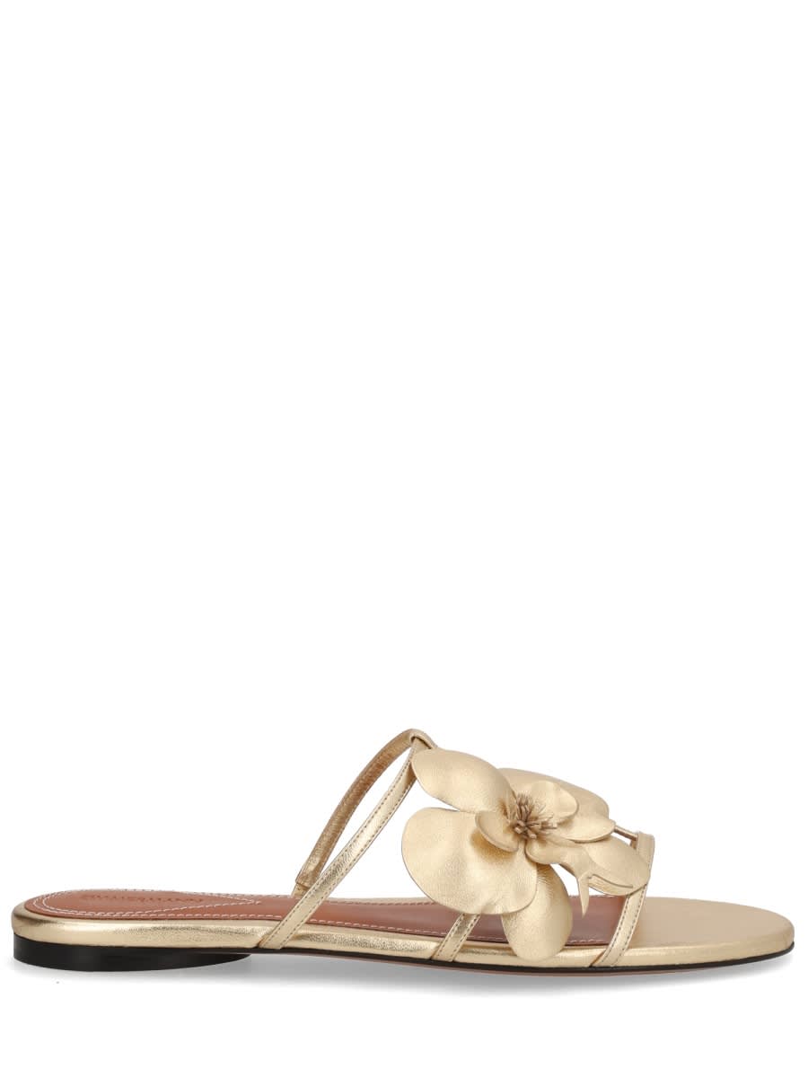 Zimmermann Sandal Orchid In Gold