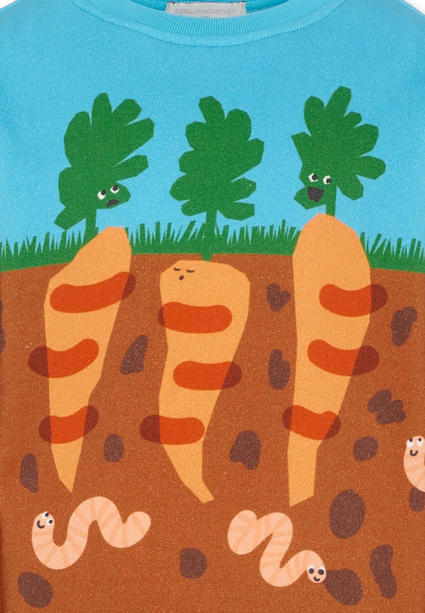 Stella Mccartney Multicolor Sweatshirt For Boy With Carrot Print In Multi