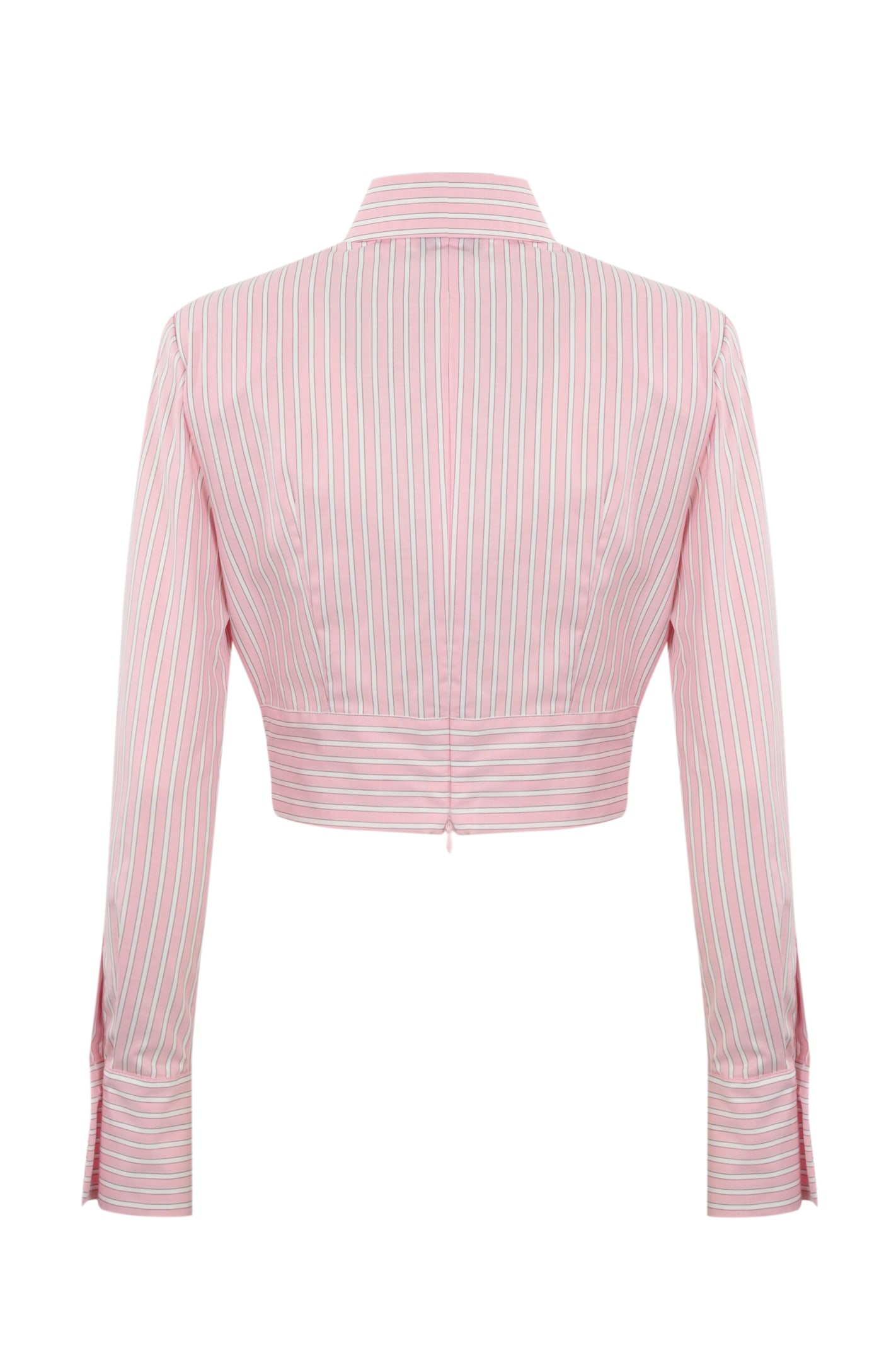 Elisabetta Franchi Striped Poplin Shirt With Bow In Pink