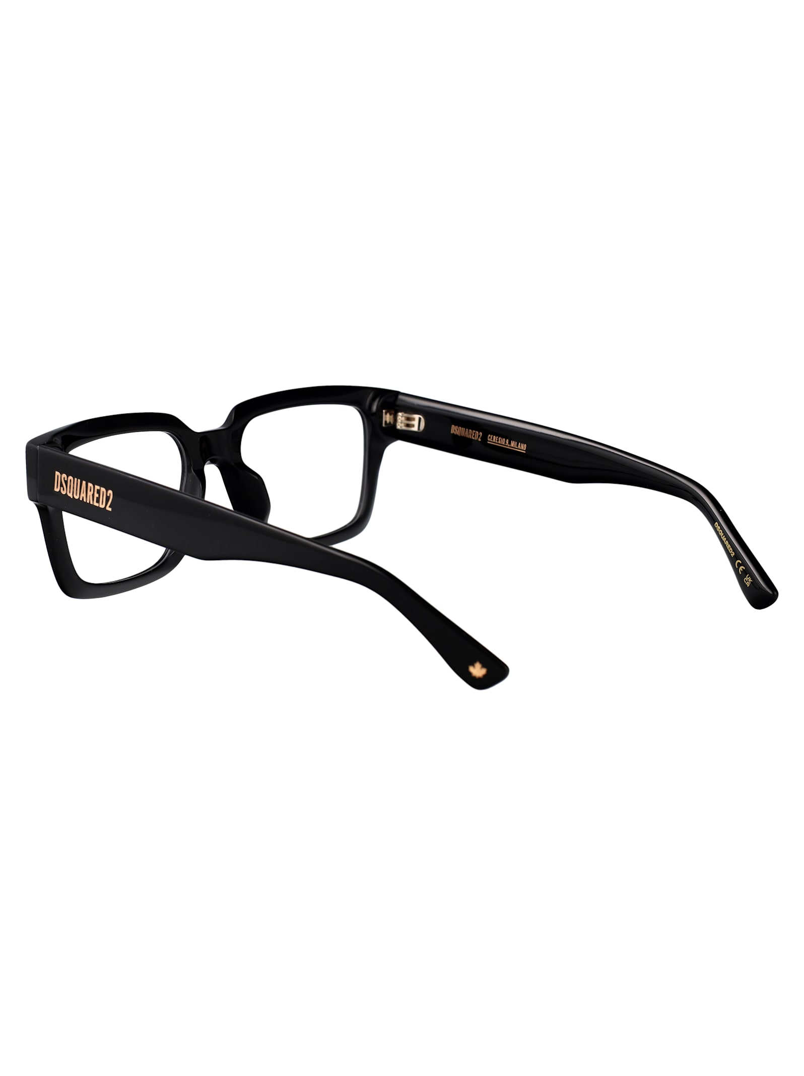 Dsquared2 D2 0167/g Glasses In Black