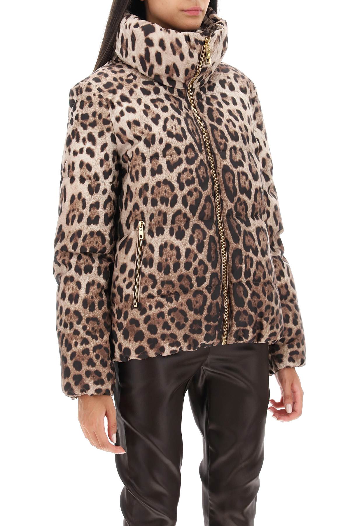 Dolce & Gabbana Leopard Print Stand Collar Puffer Jacket In Beige