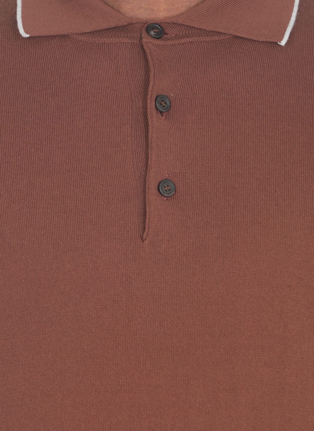 Shop Peserico Cotton Polo Shirt In Brown