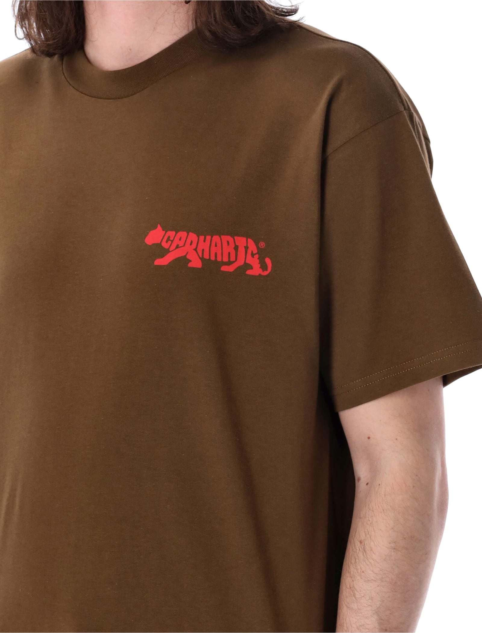 Shop Carhartt S/s Rocky T-shirt In Brown