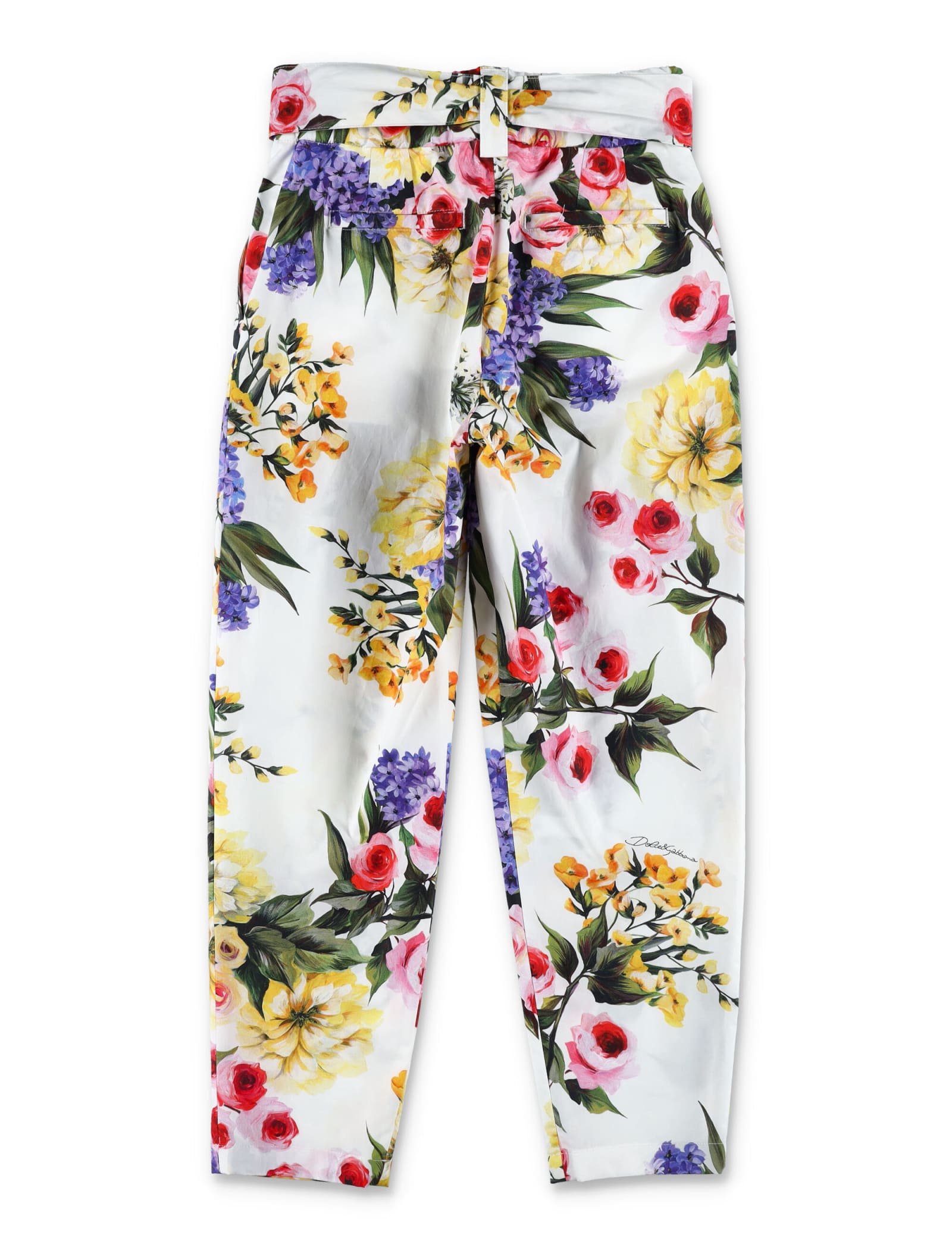Shop Dolce & Gabbana Garden Print Poplin Pants
