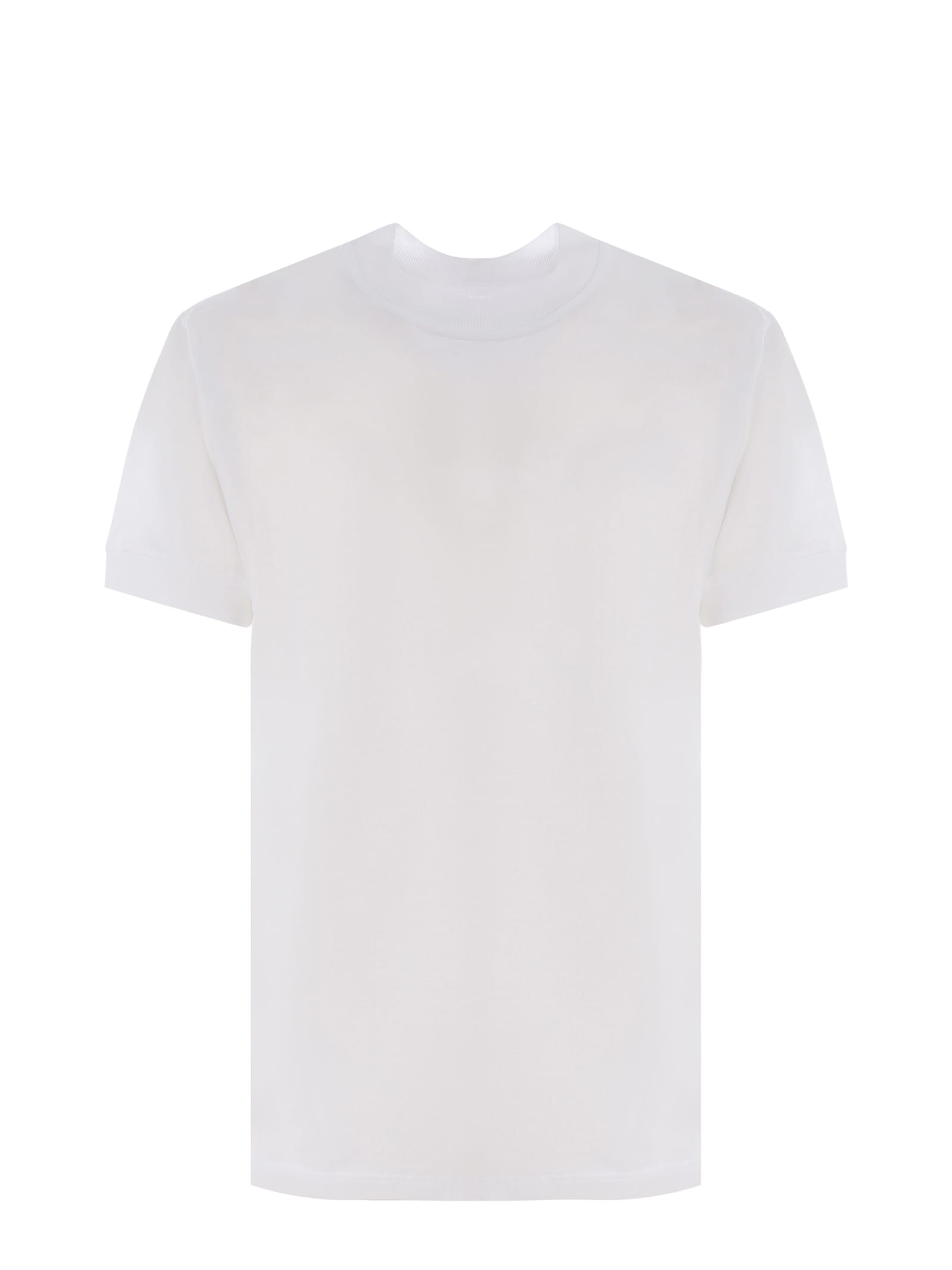 Shop Tagliatore T-shirt  Made Of Cotton In White
