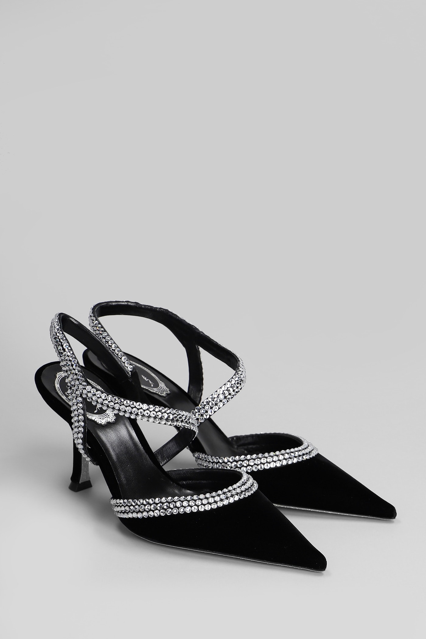 Shop René Caovilla Lidia Pumps In Black Velvet