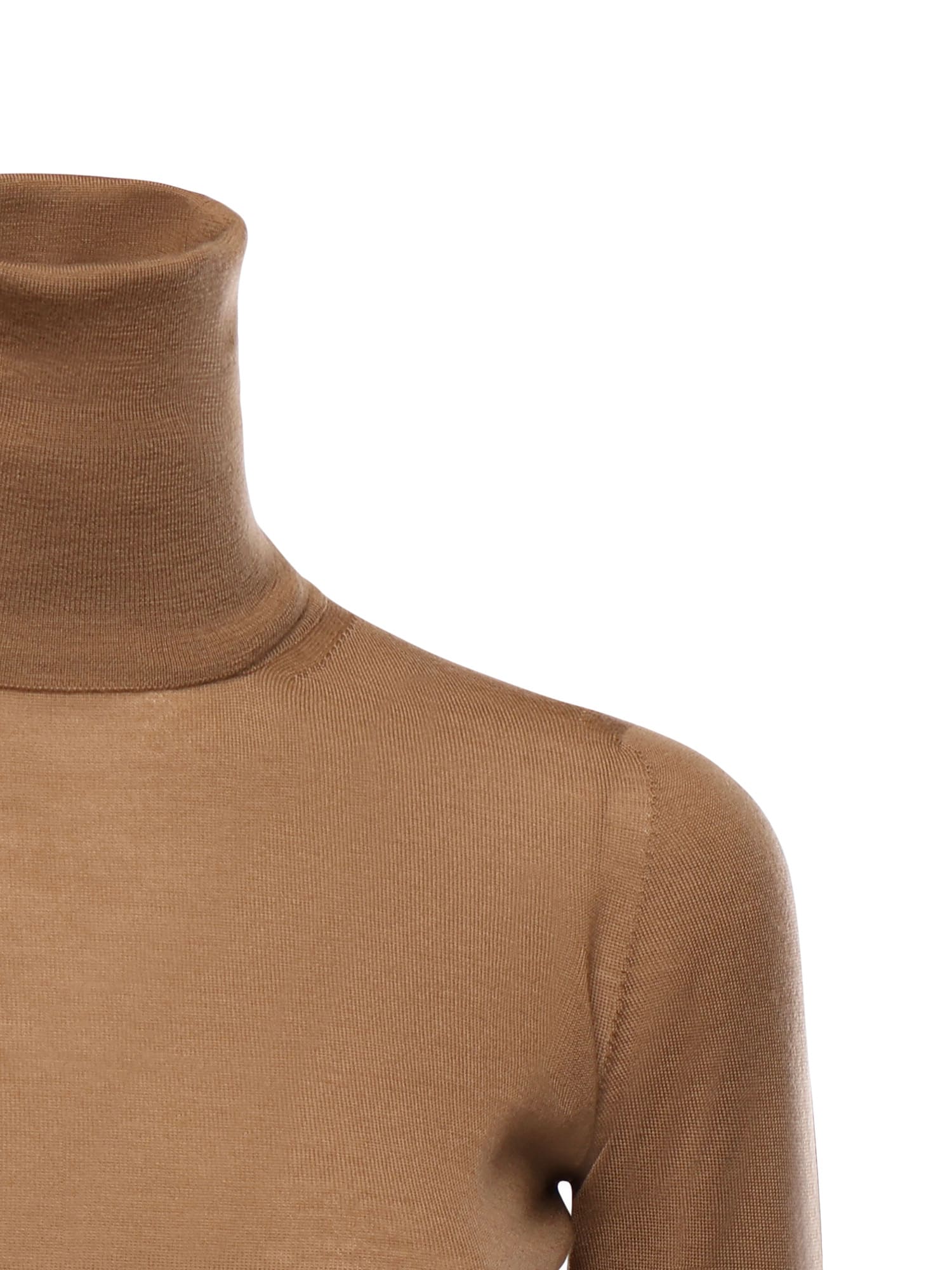 Max Mara Wool Turtleneck In Brown