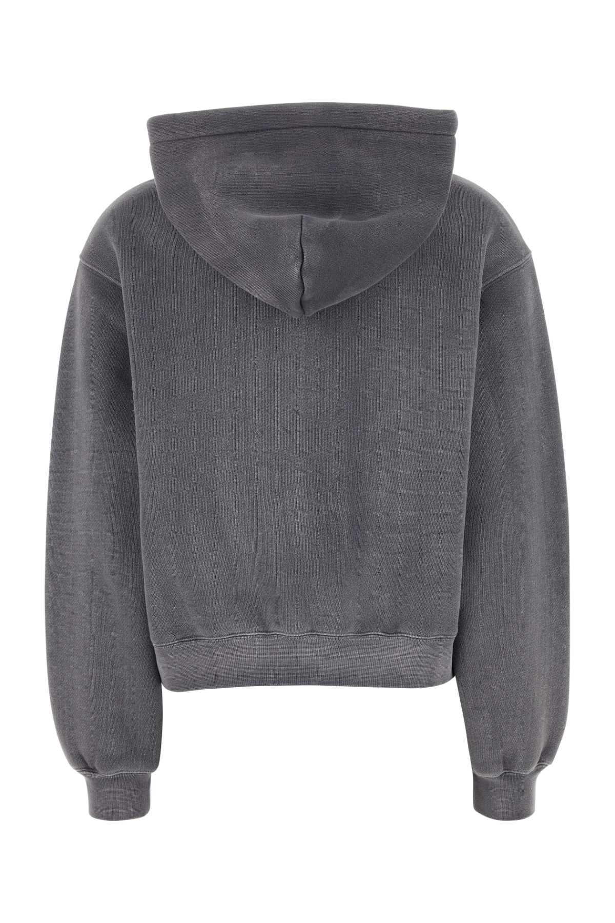 Alexander Wang T Essential Terry Hoodie With Puff Paint Logo-xs Nd T By Alexander Wang Female In Washedasphalt
