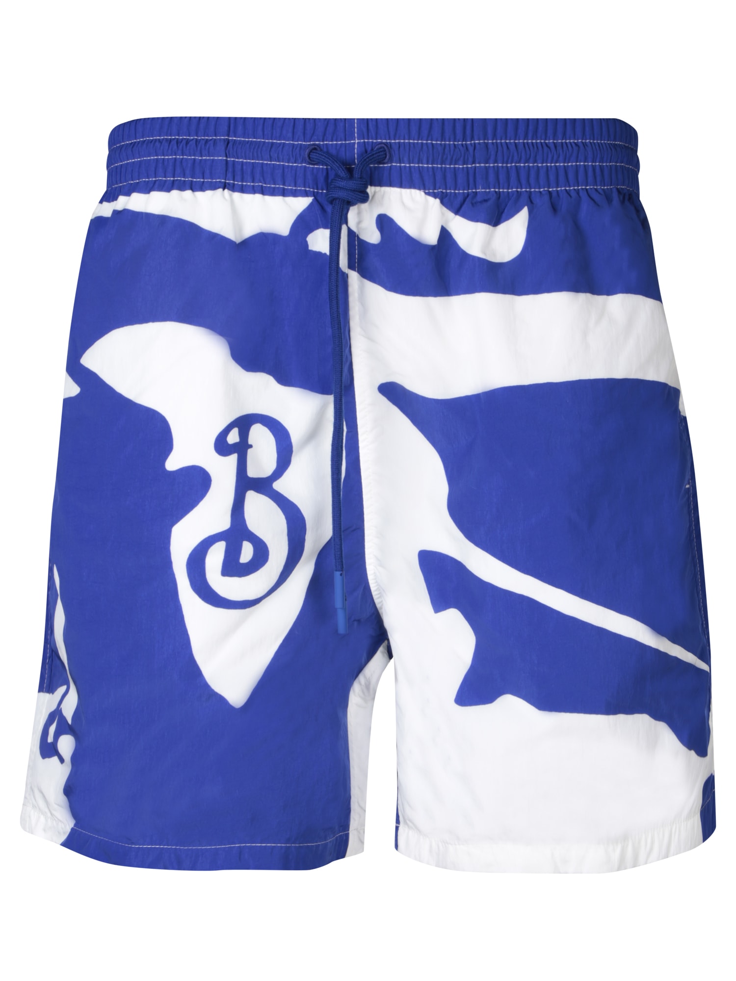 Blue And White Swim Shorts
