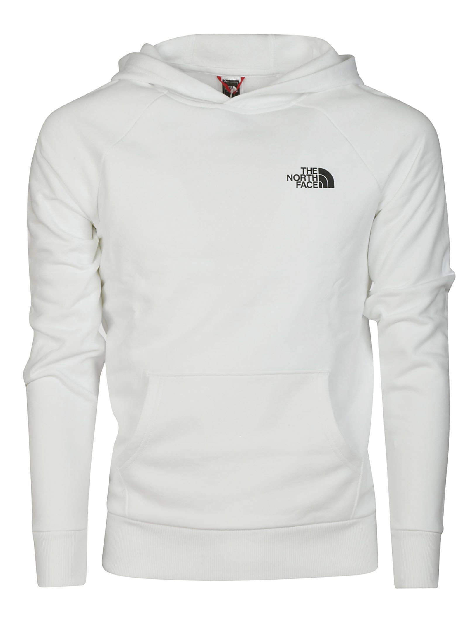 THE NORTH FACE BACK LOGO HOODIE,11292164