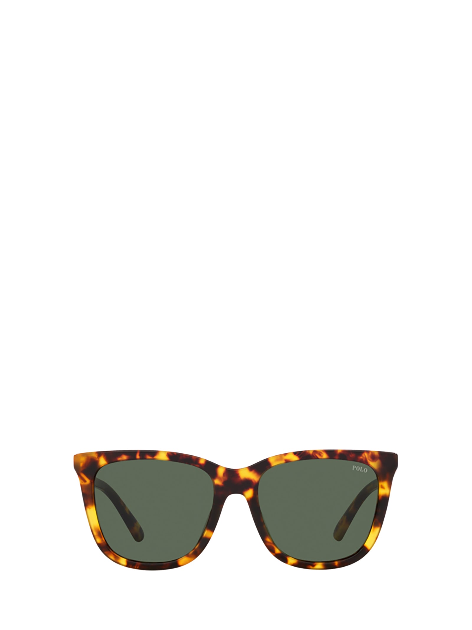 Polo Ralph Lauren Ph4201u Shiny Havana Sunglasses