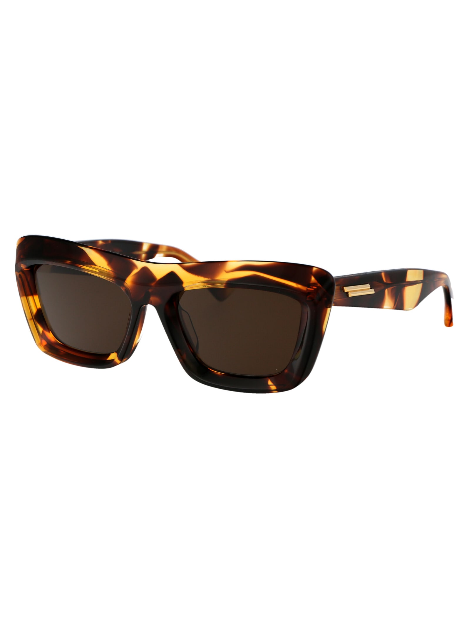 Bottega Veneta Women's Havana Acetate Sunglasses In 002 Havana Havana Brown