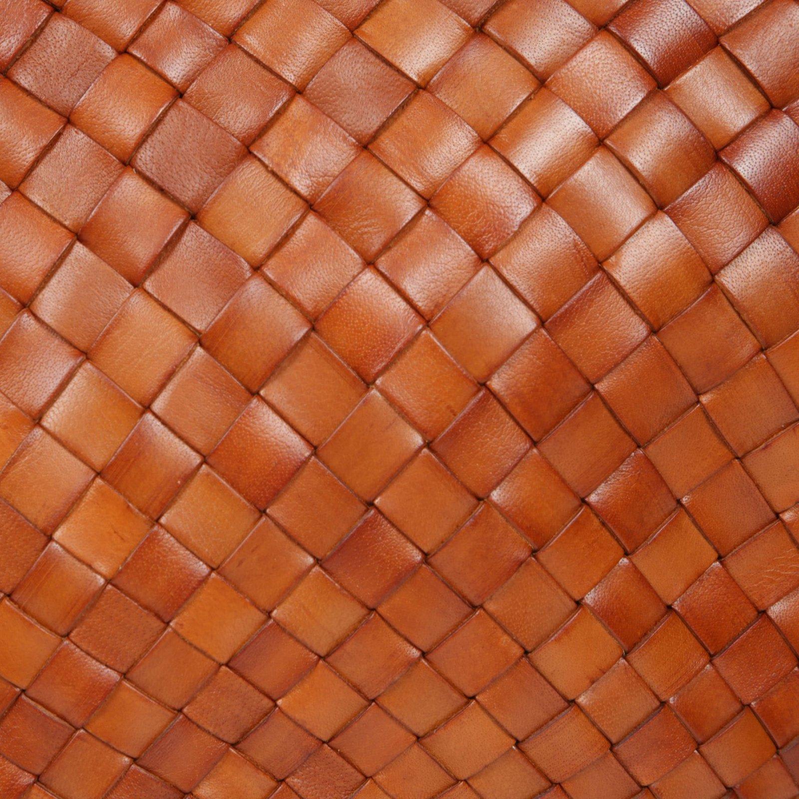 Dragon Diffusion Egola Tote Bag In Brown