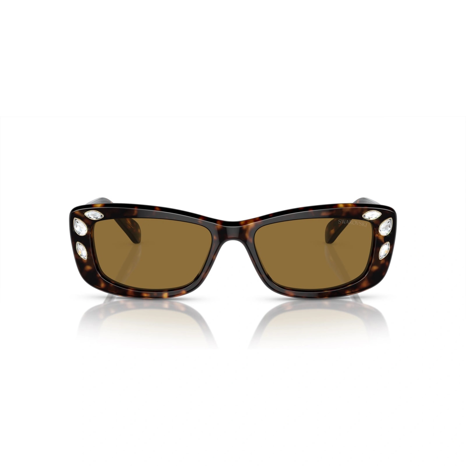 Shop Swarovski Sk6008 100273 Sunglasses In Tartarugato
