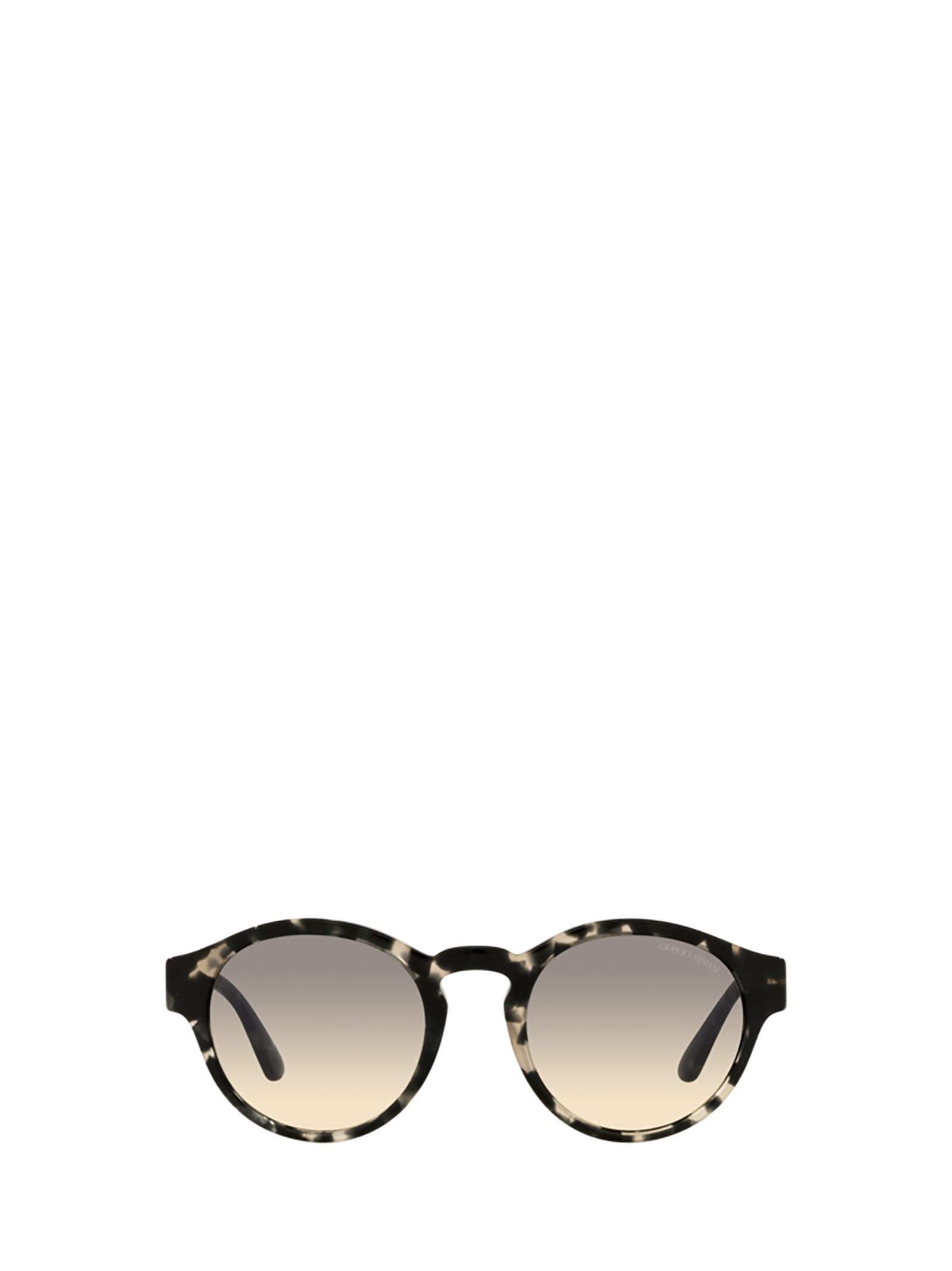 Ar8146 Grey Havana Sunglasses