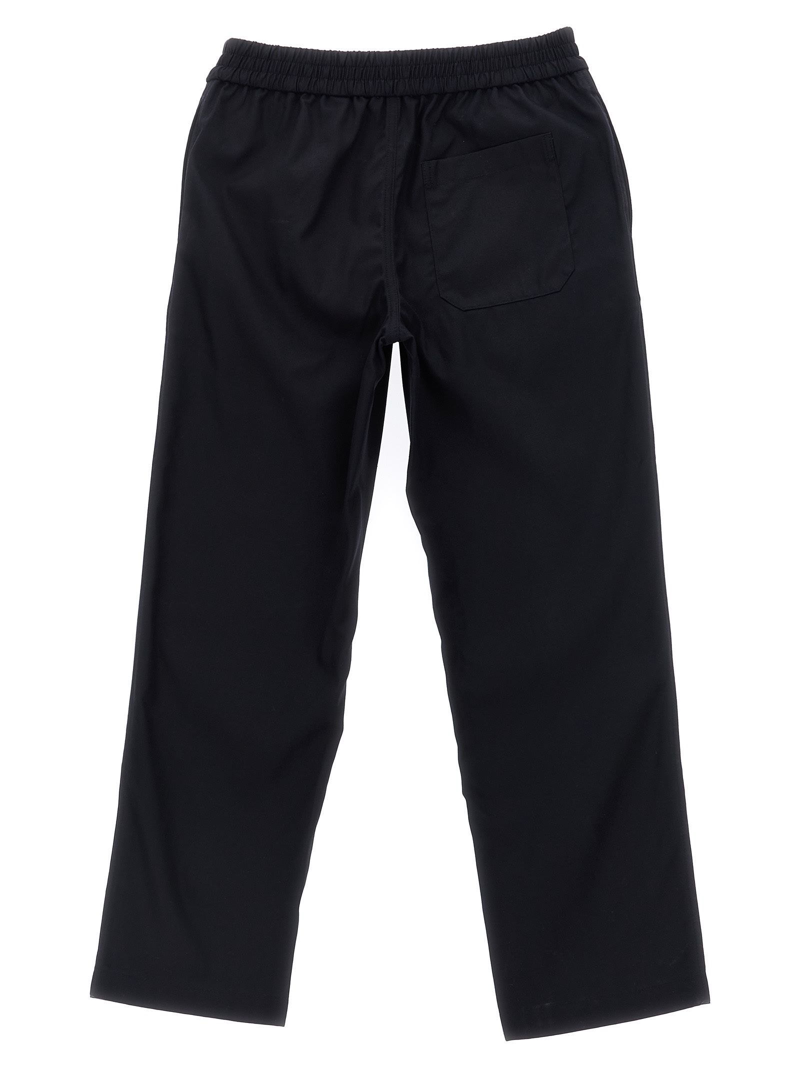 Burberry Titan Pants In Blue