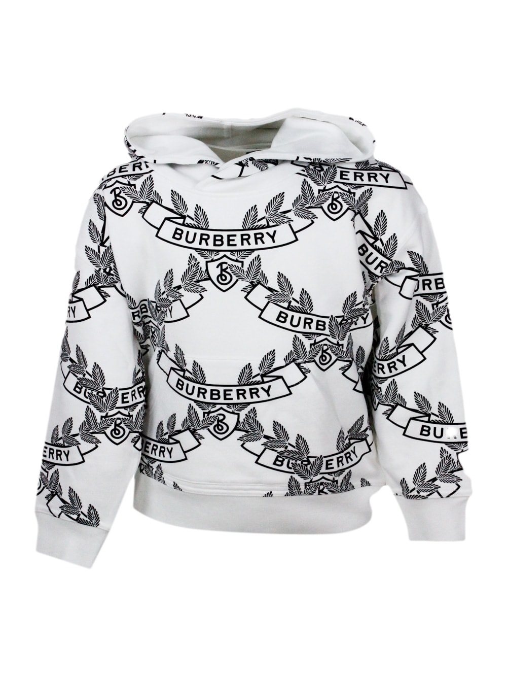 Burberry Rocky Crewneck Sweatshirt With Hood In Cotton Jersey With Logo Lettering Prints