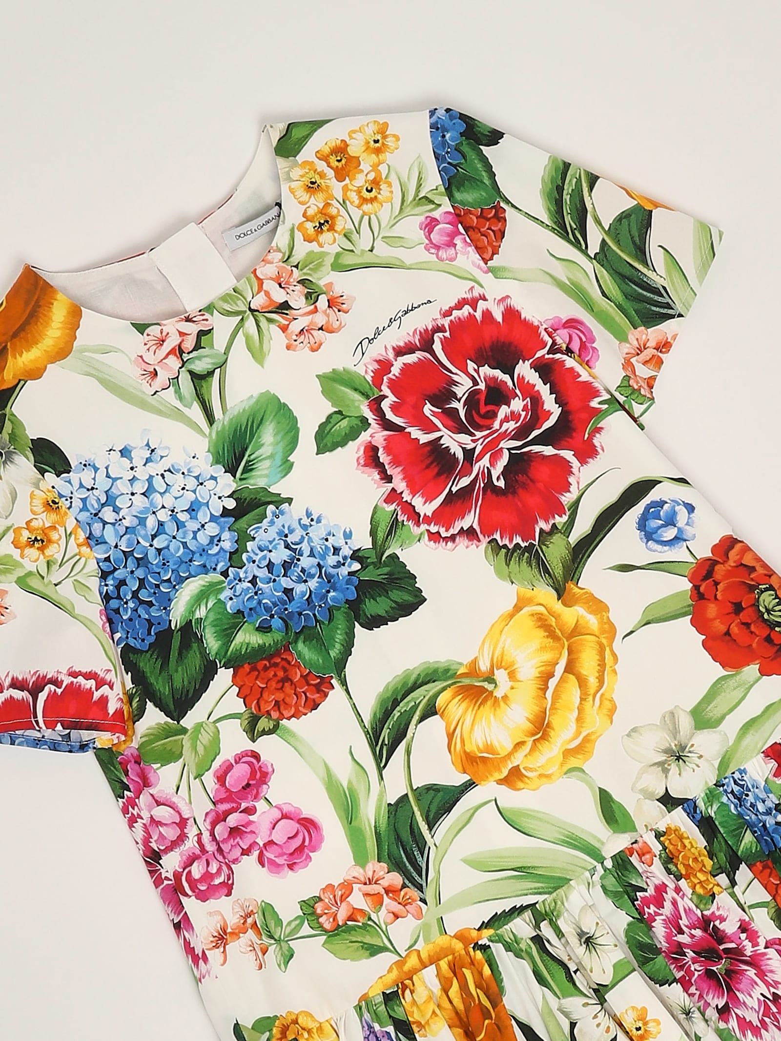 Dolce & Gabbana Short Sleeves Dress Dress In Multi