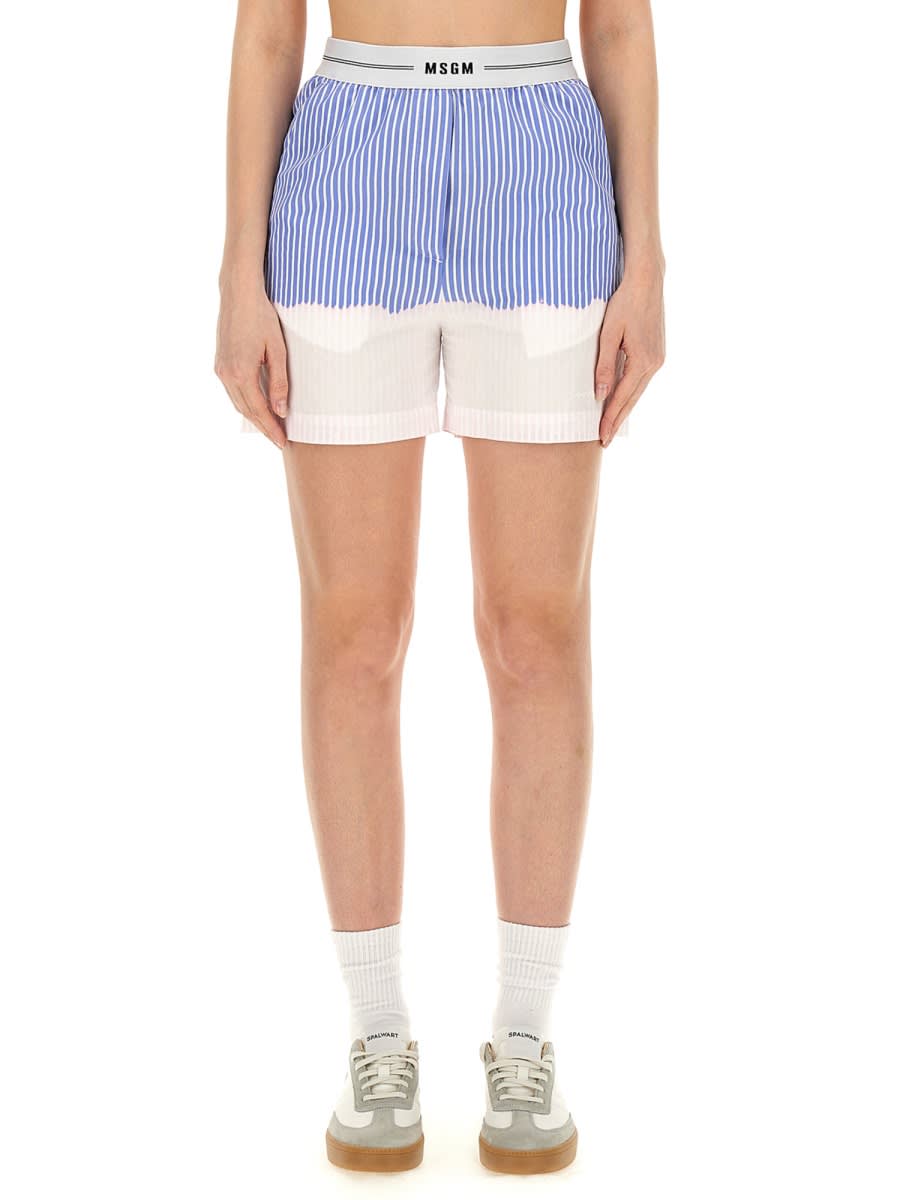 Shop Msgm Shorts With Logo Band In Baby Blue