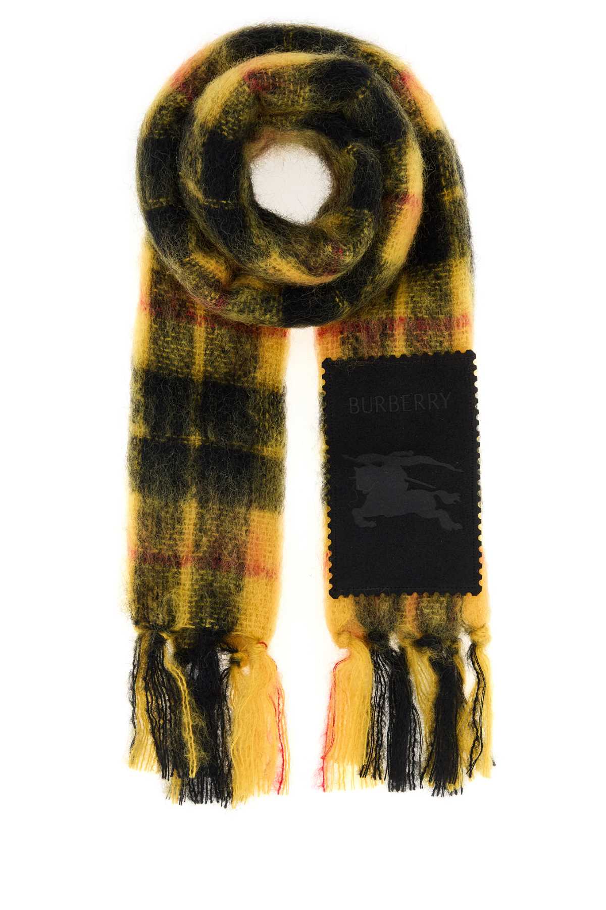 Burberry Embroidered Mohair Blend Scarf In Multi