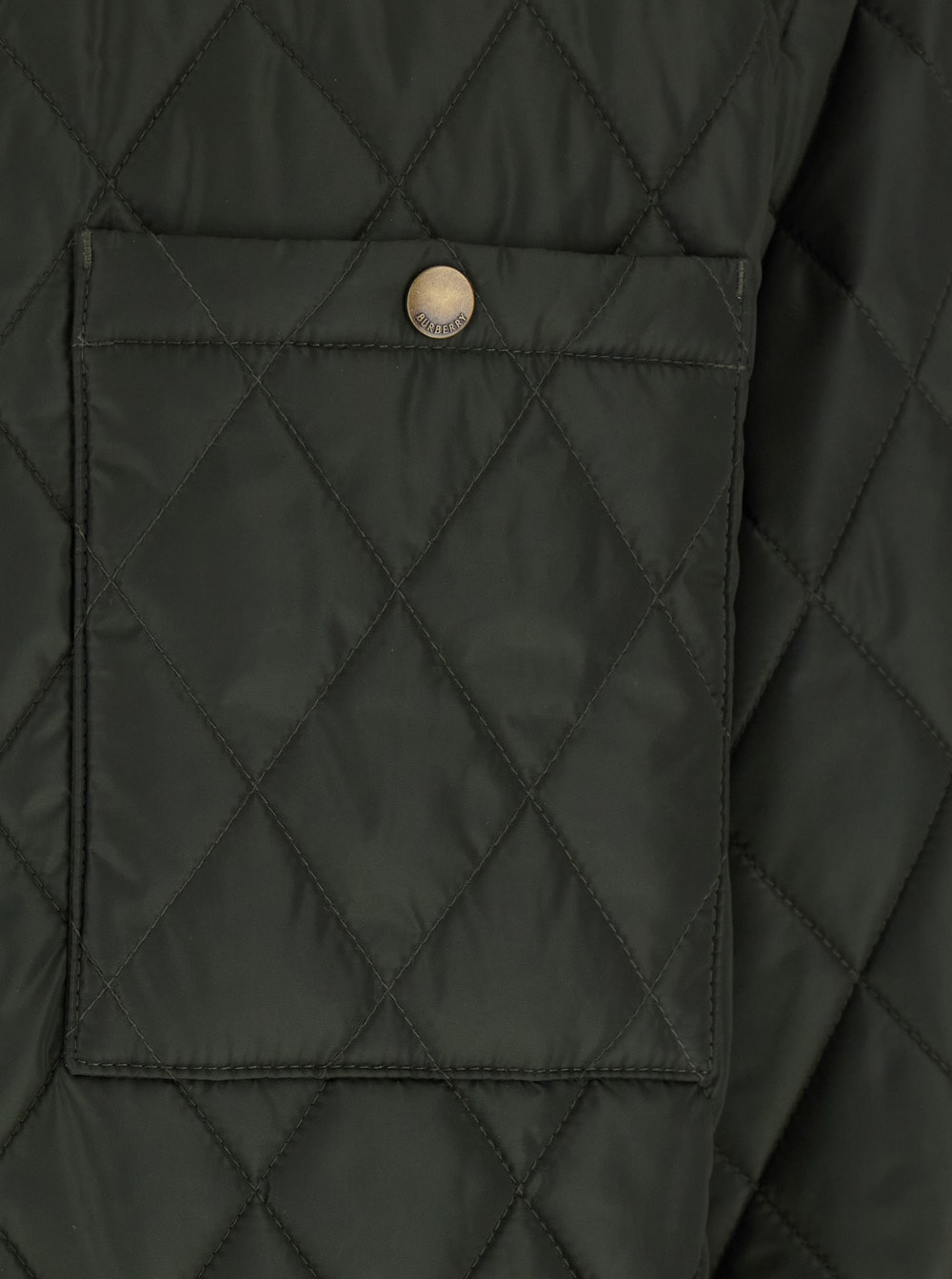 Shop Burberry Green Quilted Jacket With Classic Collar In Tech Fabric Man