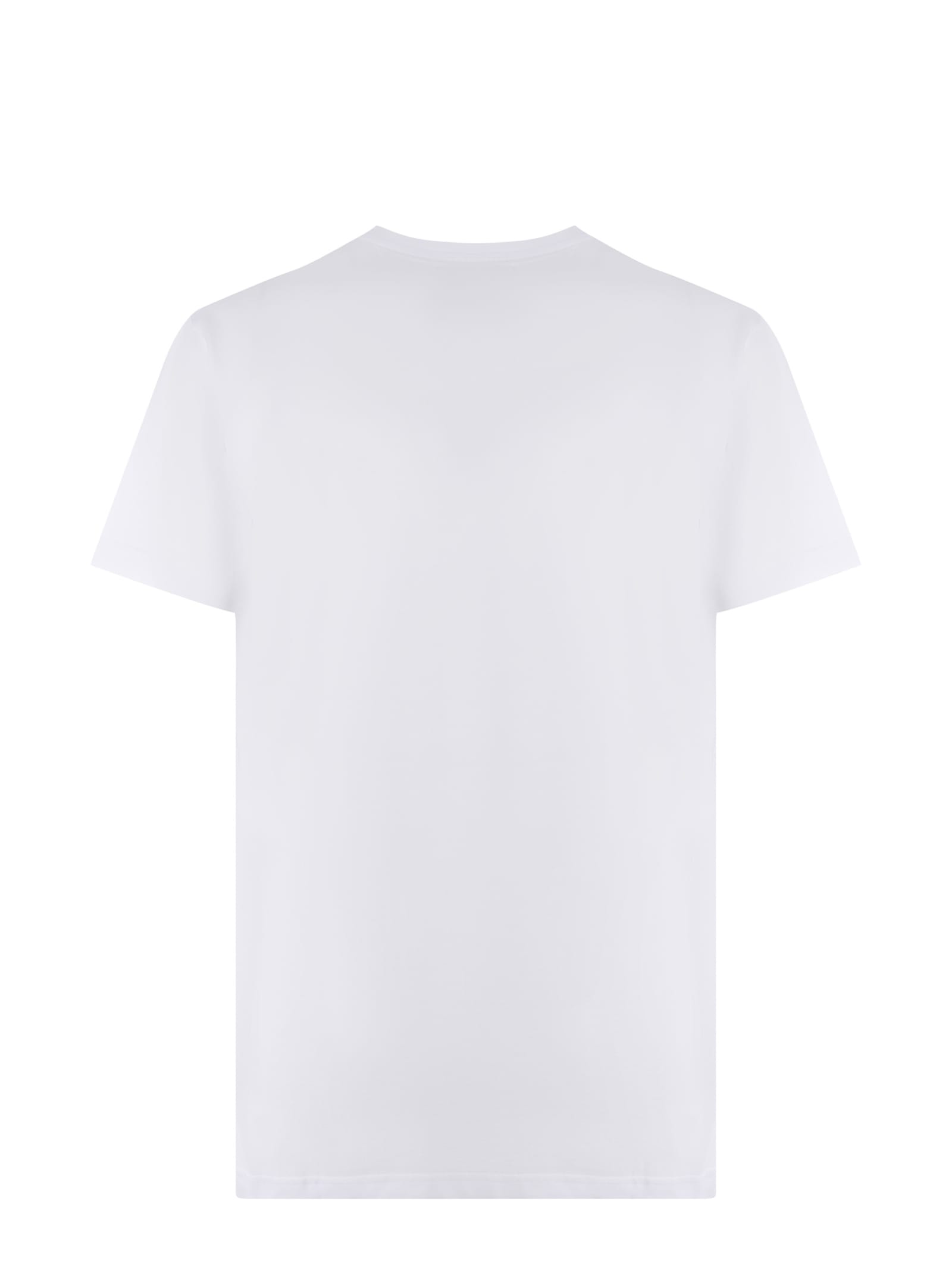 Shop Giuseppe Zanotti T-shirt  Made Of Cotton In Bianco