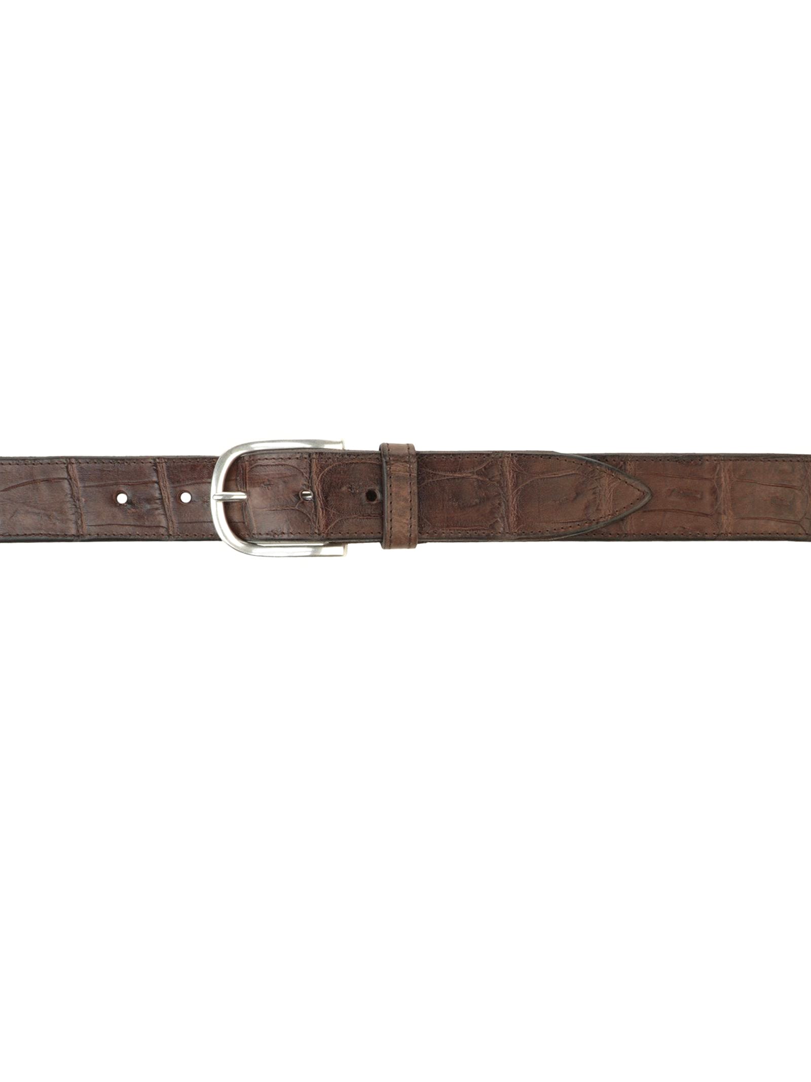 Shop Orciani Cocco Coda Color Classic Crocodile Leather Belt In Brown