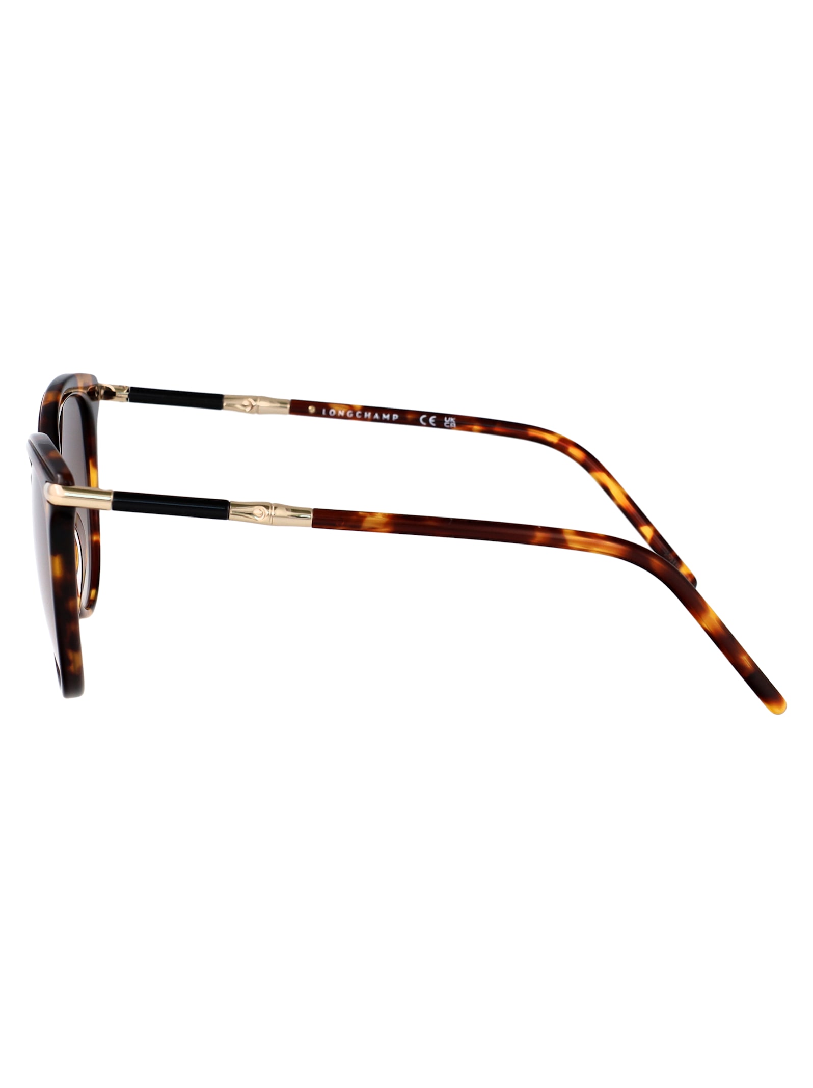 Longchamp Lo727s Sunglasses In Brown