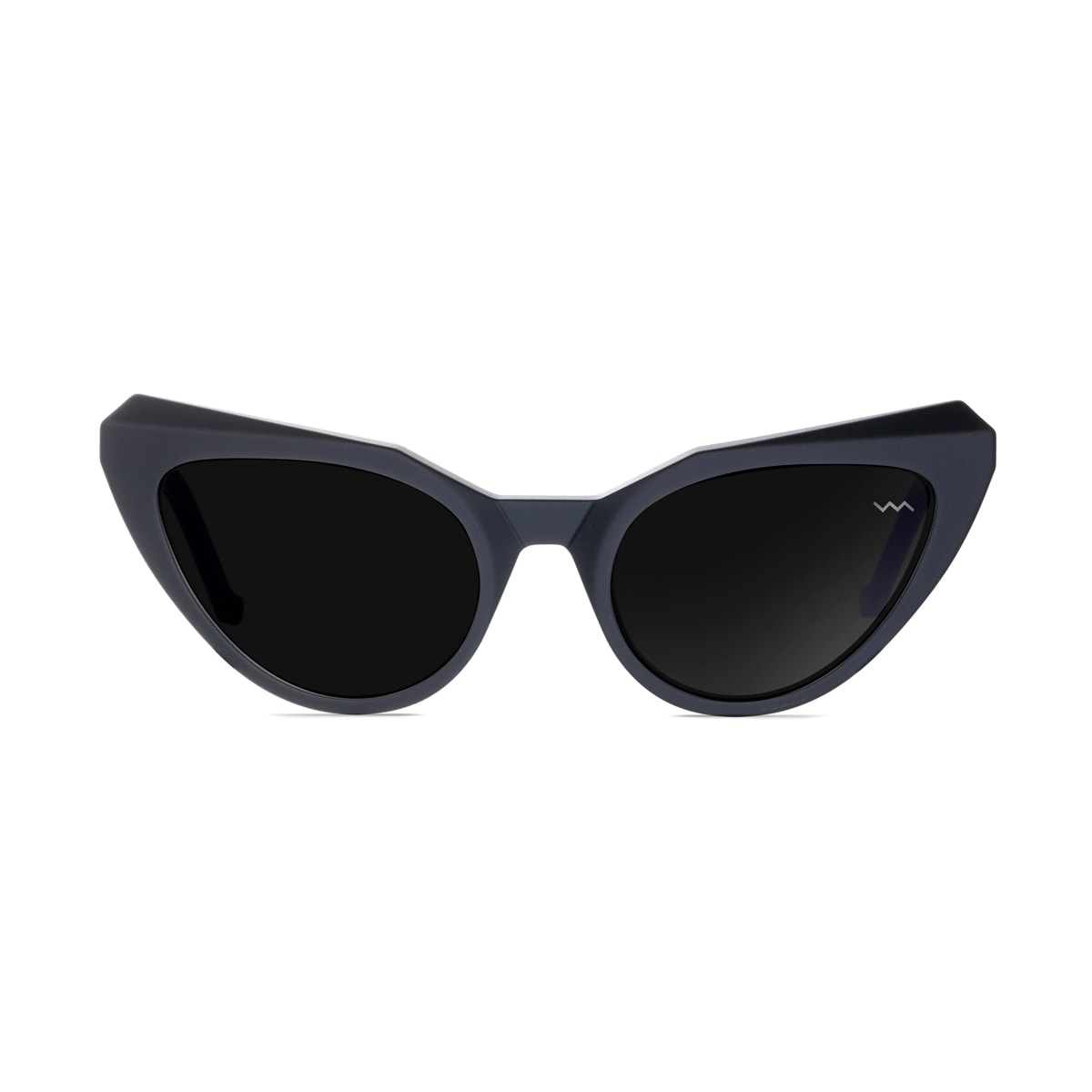 Bl0028 Black Label Black Matte Sunglasses