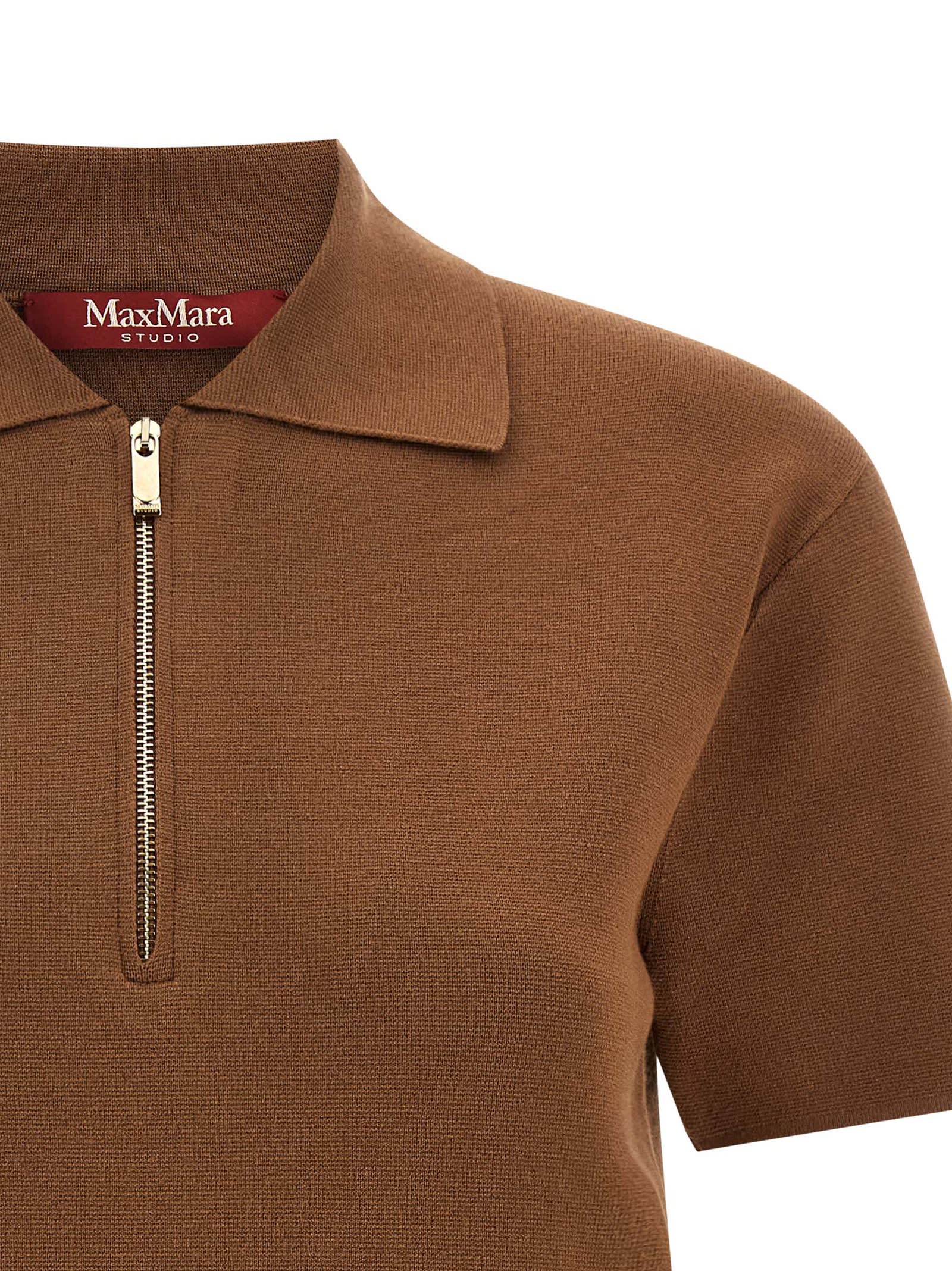 Max Mara Lapel Short-sleeved Polo Shirt In Brown