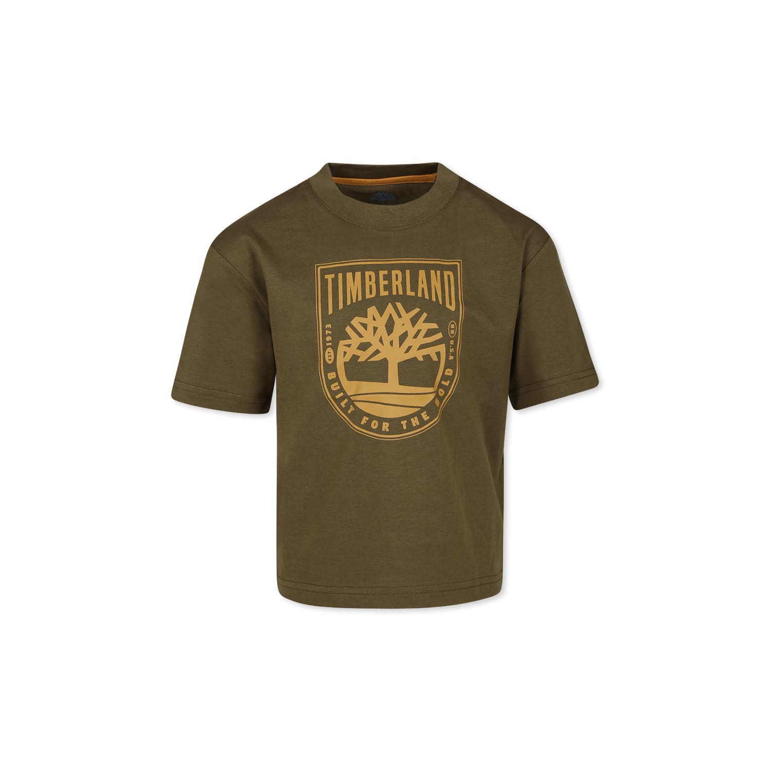 Shop Timberland Green T-shirt For Boy With Logo