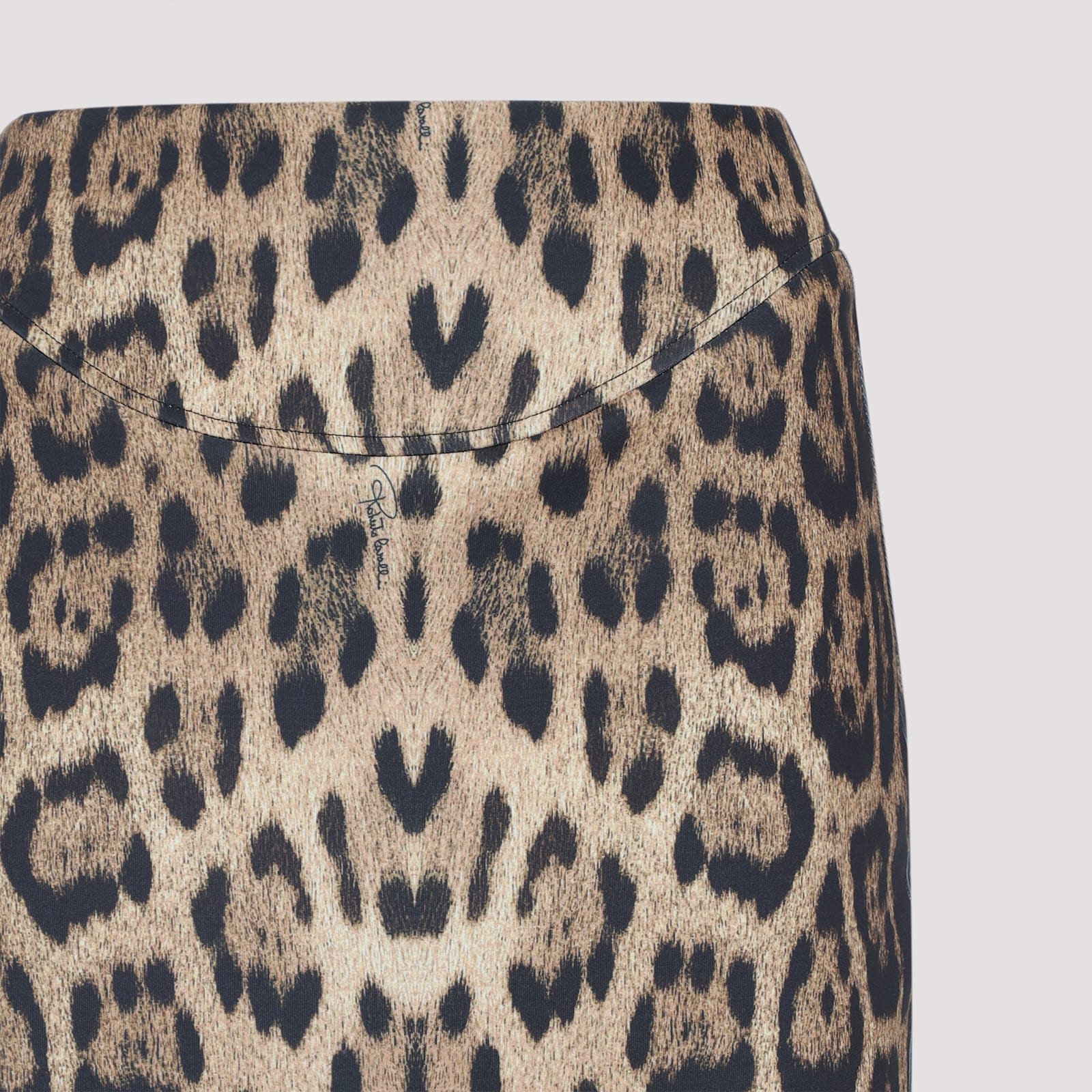 Roberto Cavalli Animalier Stretch Fabric Pencil Skirt In Animal Print