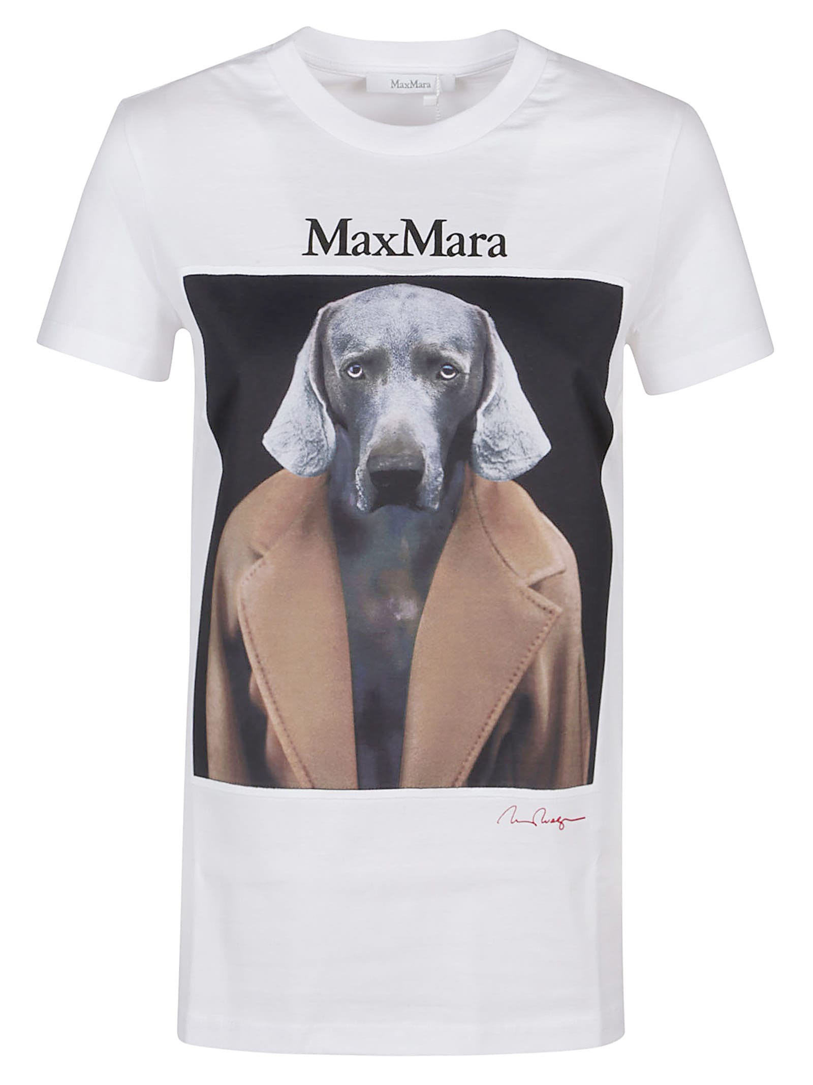 Shop Max Mara Cipria T-shirt In Fondo Bianco