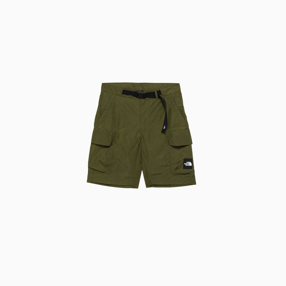 Shop The North Face Nse Cargo Pocket Shorts In Green