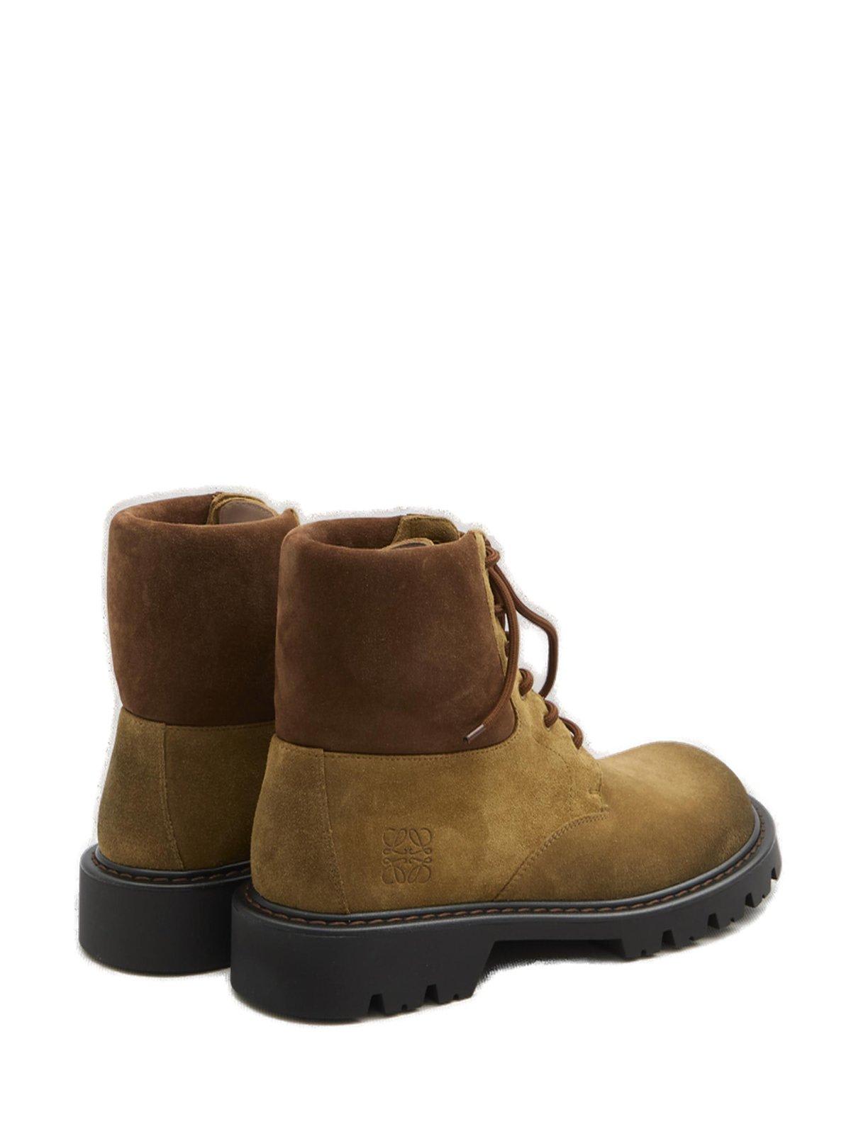 Shop Loewe Sierra Combat Ankle Boots In Medium Tabacco Brown