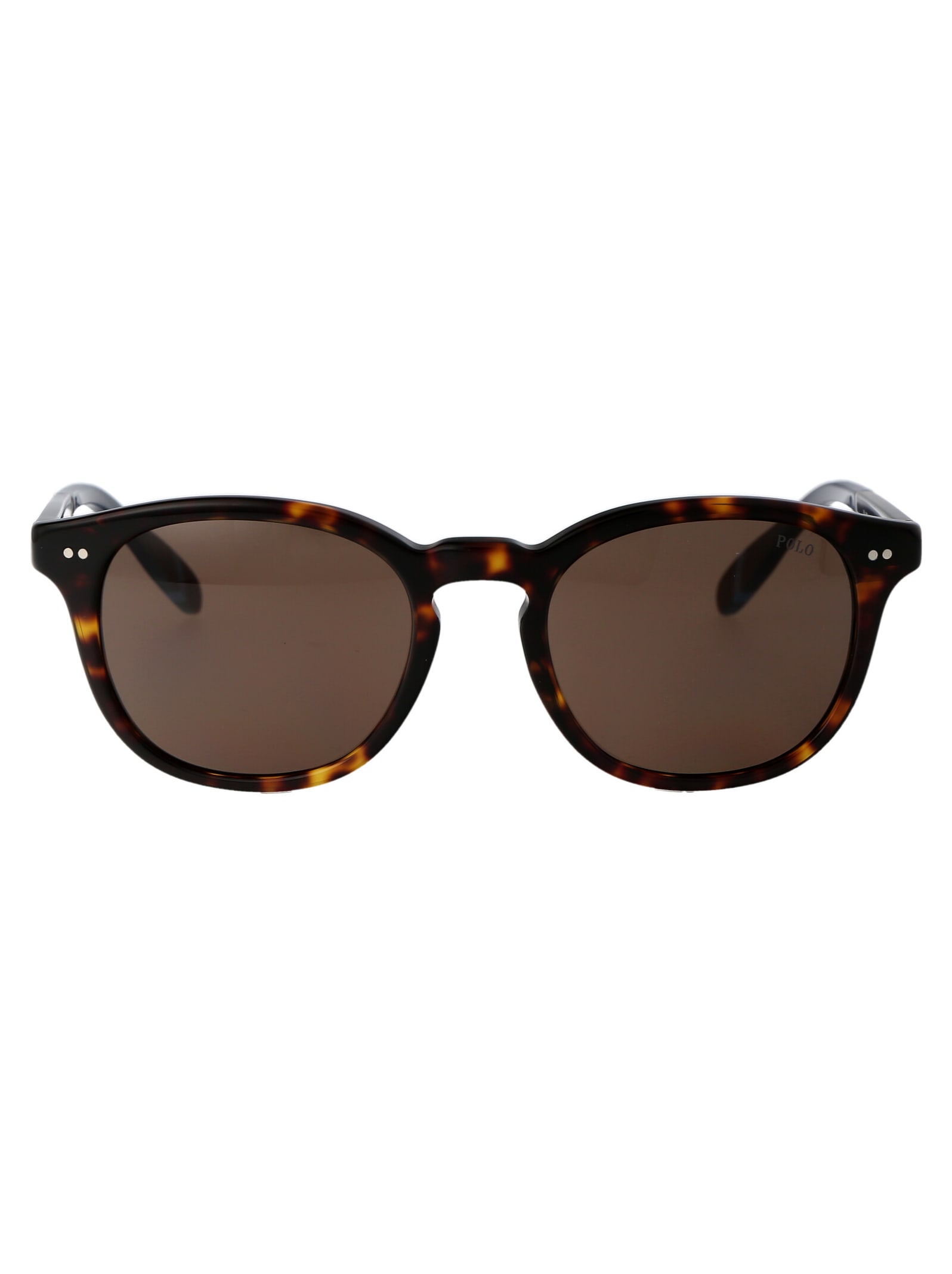 Shop Polo Ralph Lauren 0ph4206 Sunglasses In 500373 Shiny Dark Havana