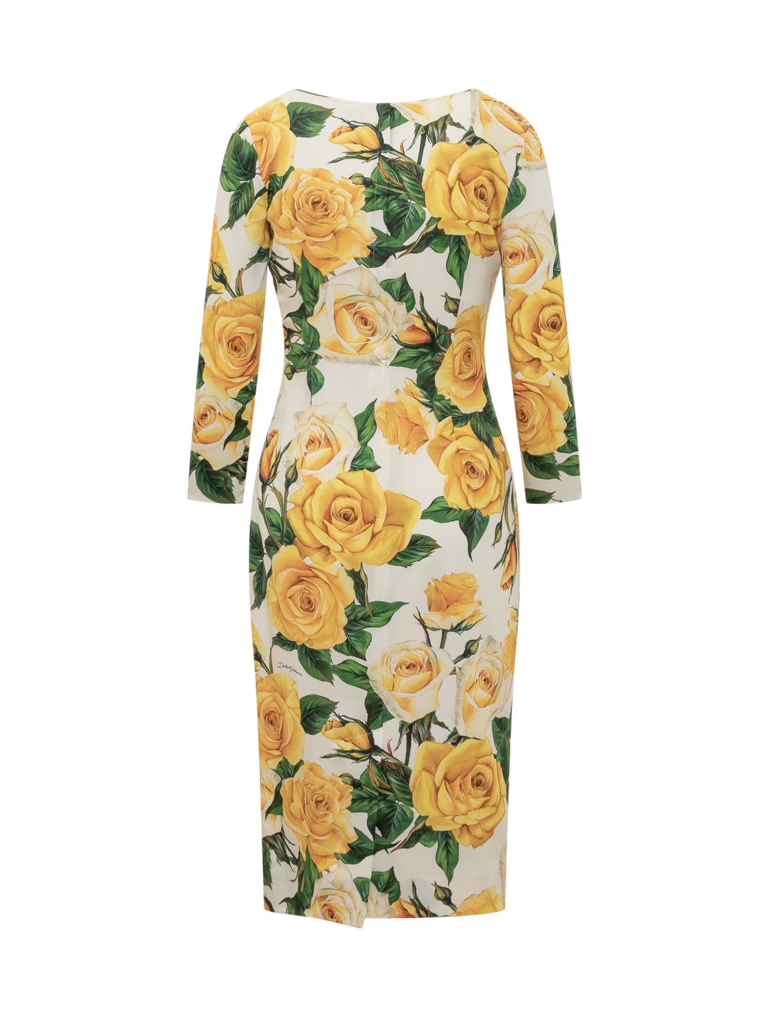 Shop Dolce & Gabbana Roses Yellow Dress In Rose Gialle Fdo Bco