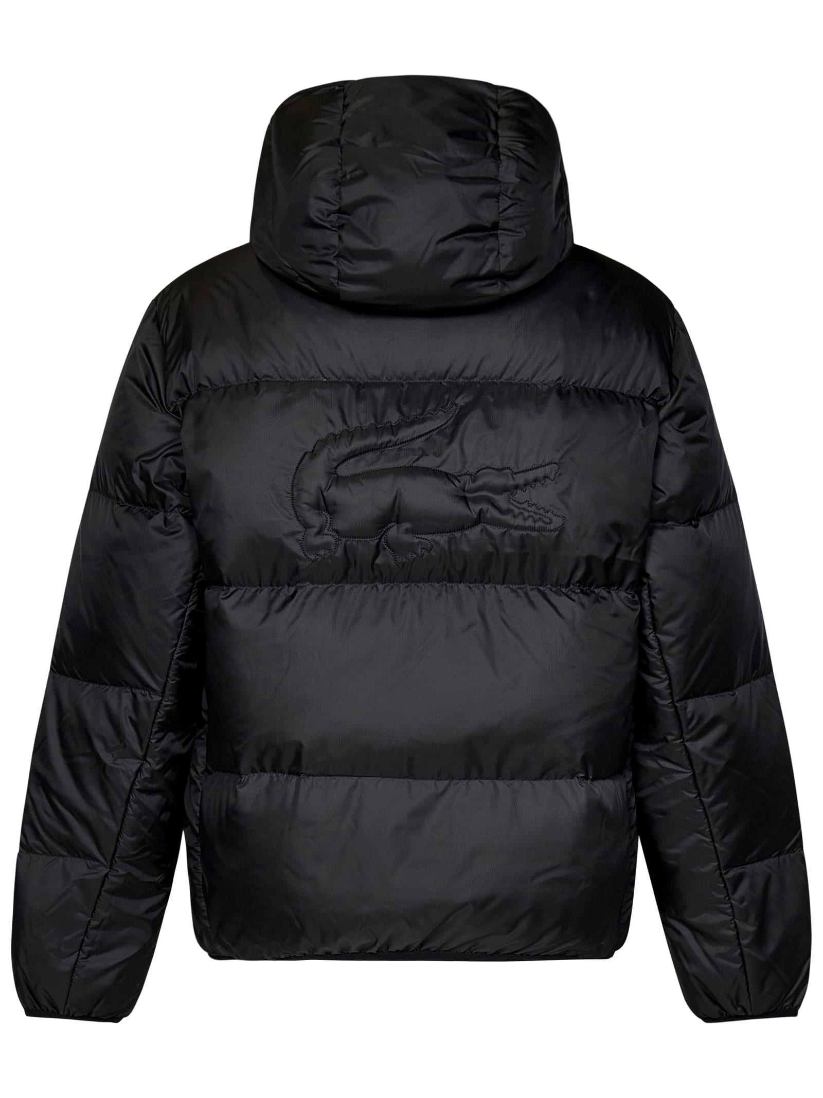 Shop Lacoste Down Jacket In Black