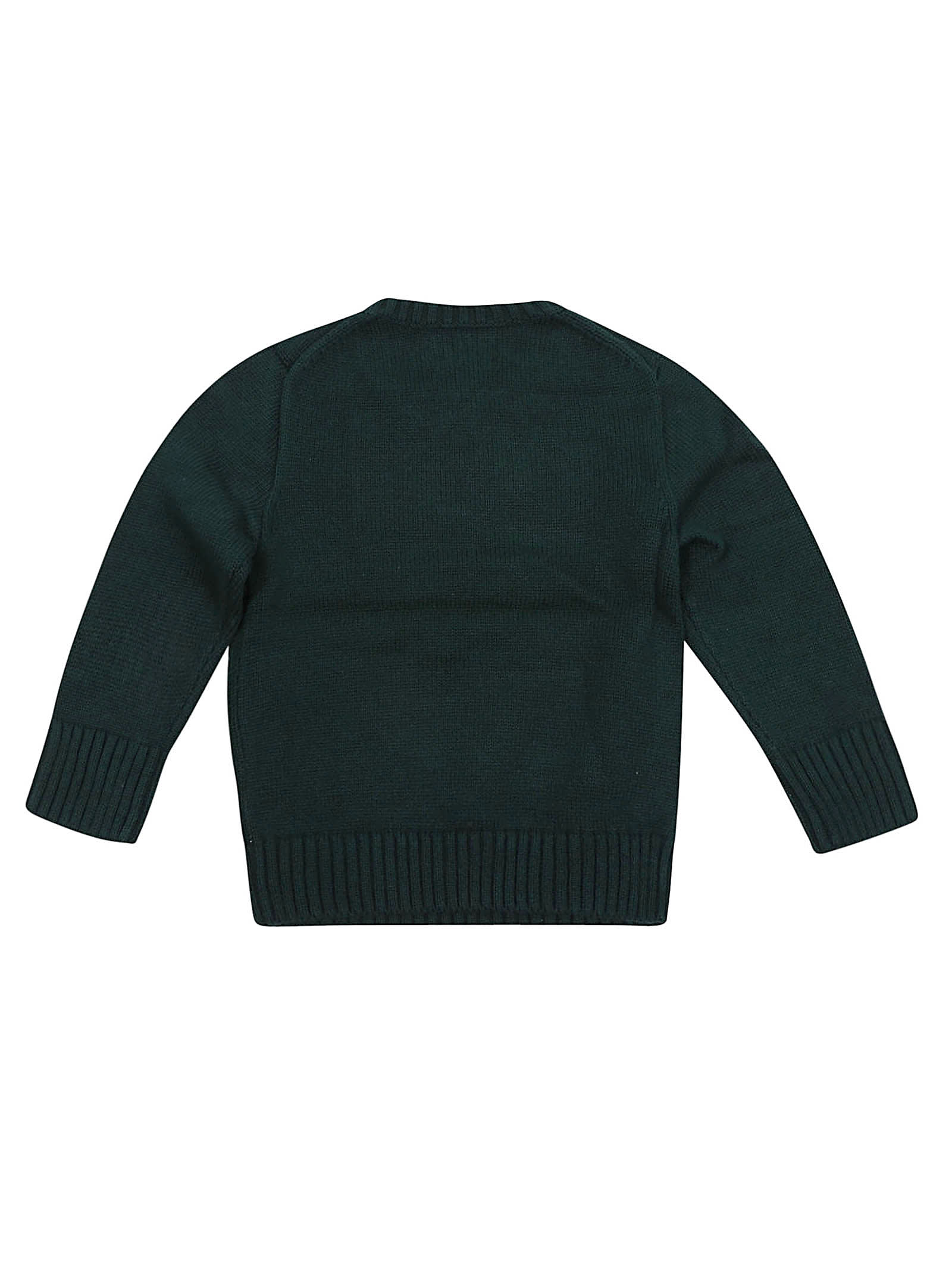 Shop Ralph Lauren Ls Cn Dog-sweater-pullover In Hunt Club Green