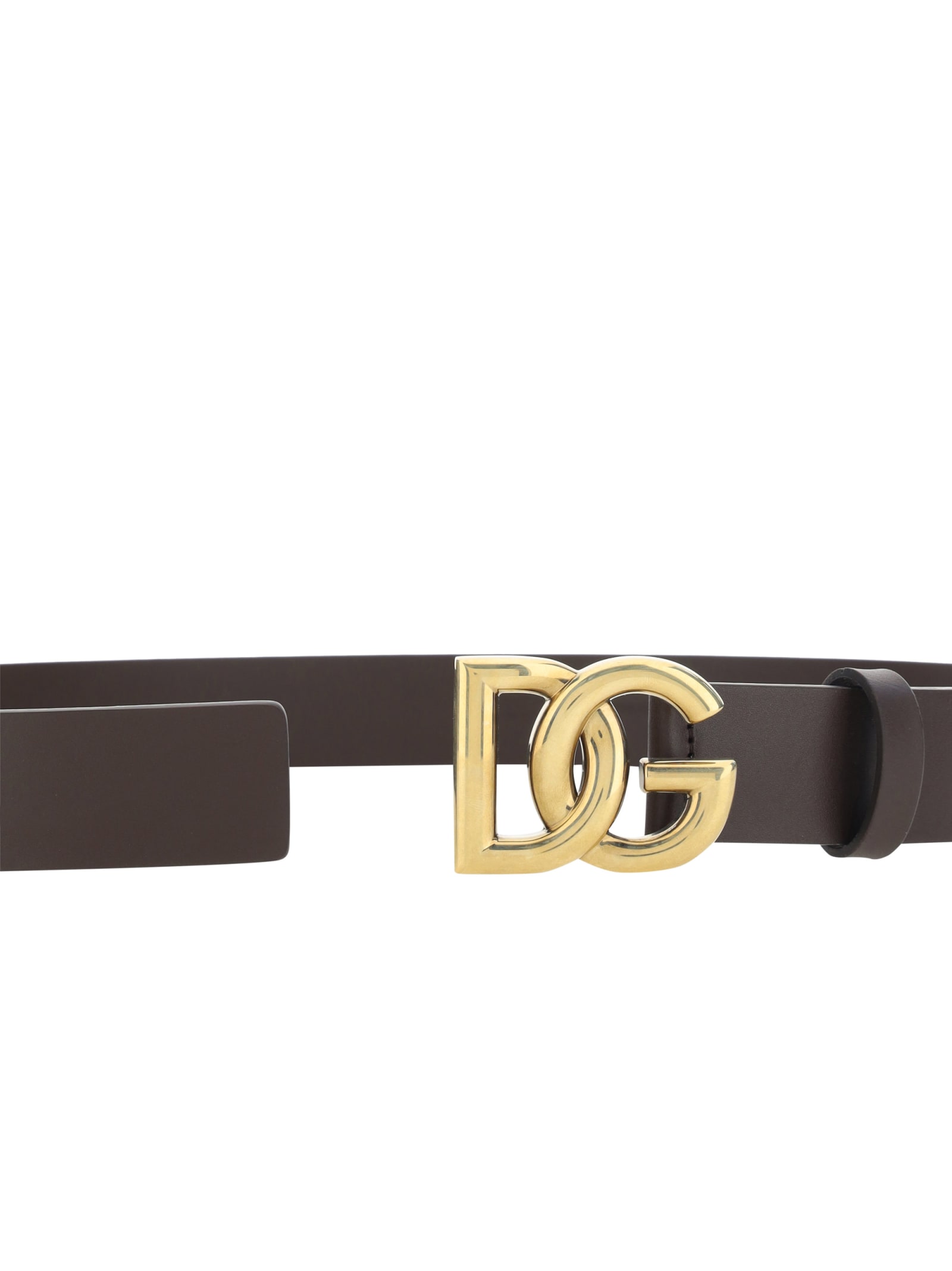 Shop Dolce & Gabbana Tosca Belt In Moro/oro