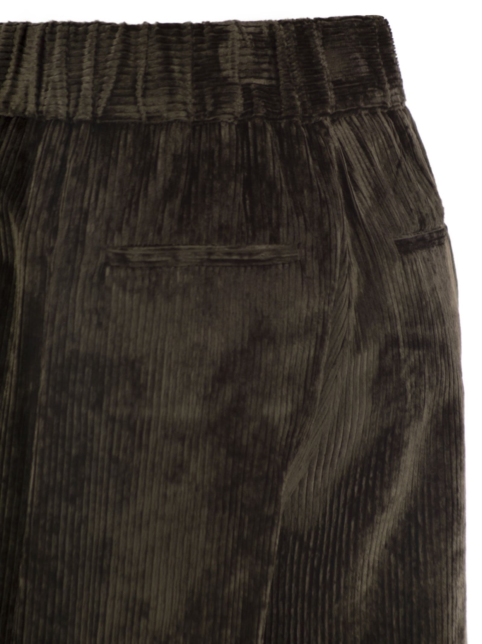 Peserico Velvet Trousers Elastic Waistband In Brown