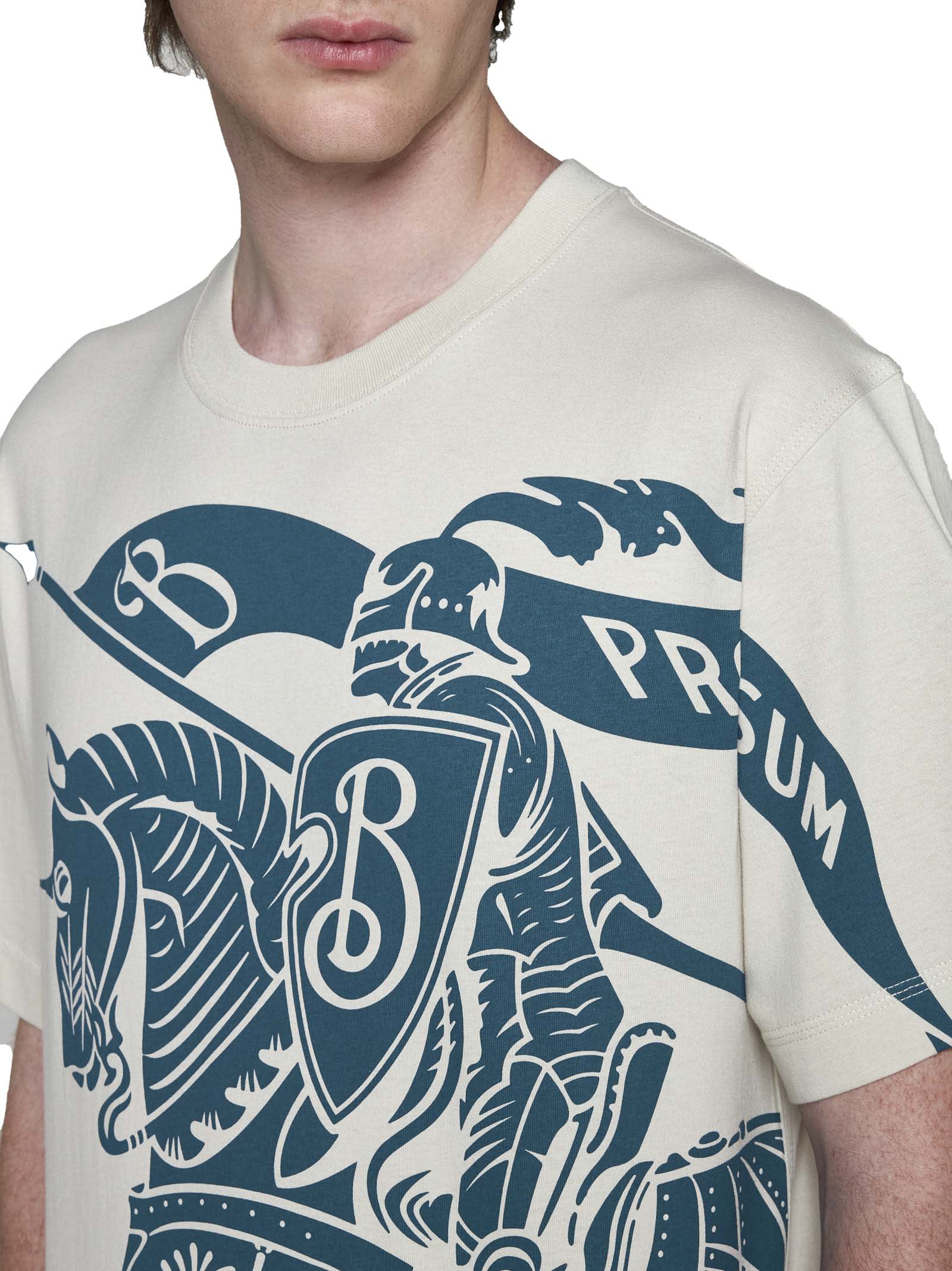 Shop Burberry T-shirt In Plaster