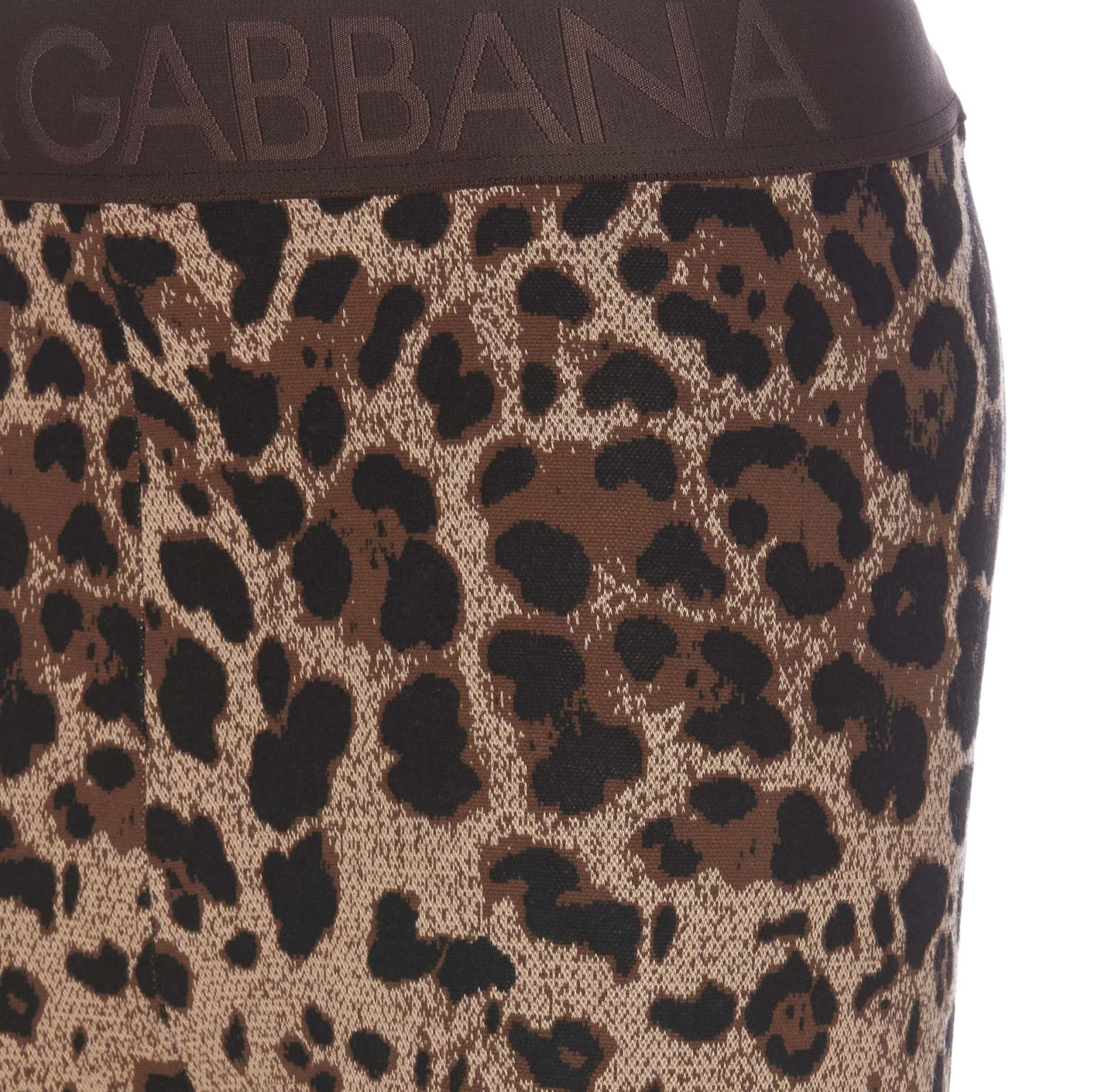 Shop Dolce & Gabbana Leo Leggings In Black