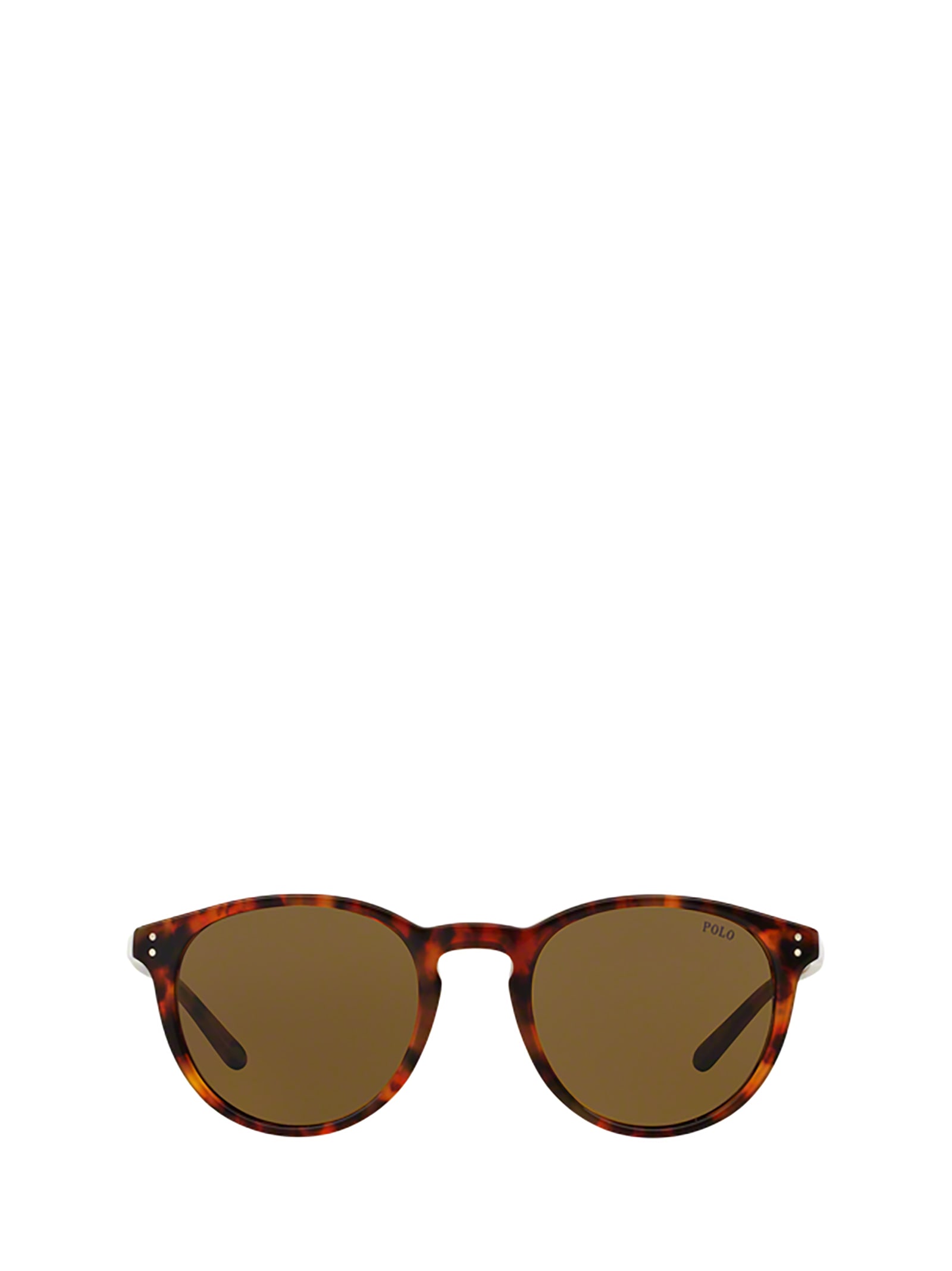 POLO RALPH LAUREN SUNGLASSES,11226060