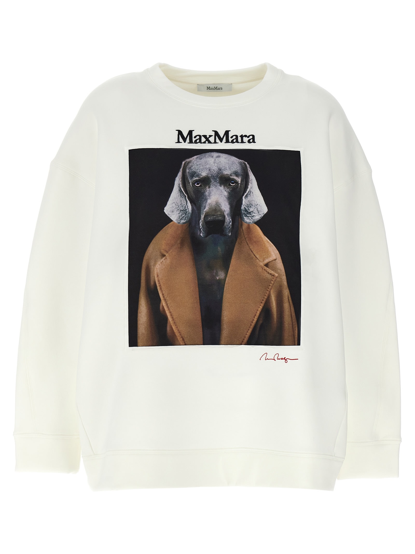 Shop Max Mara Bacco Sweatshirt In White