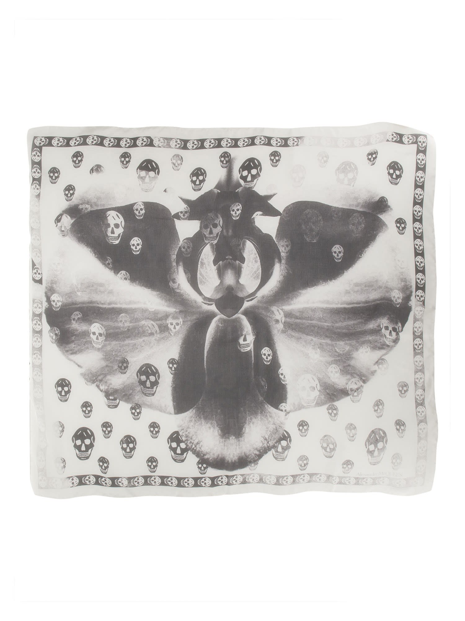 Shop Alexander Mcqueen Skull Orchid Scarf In Ivory