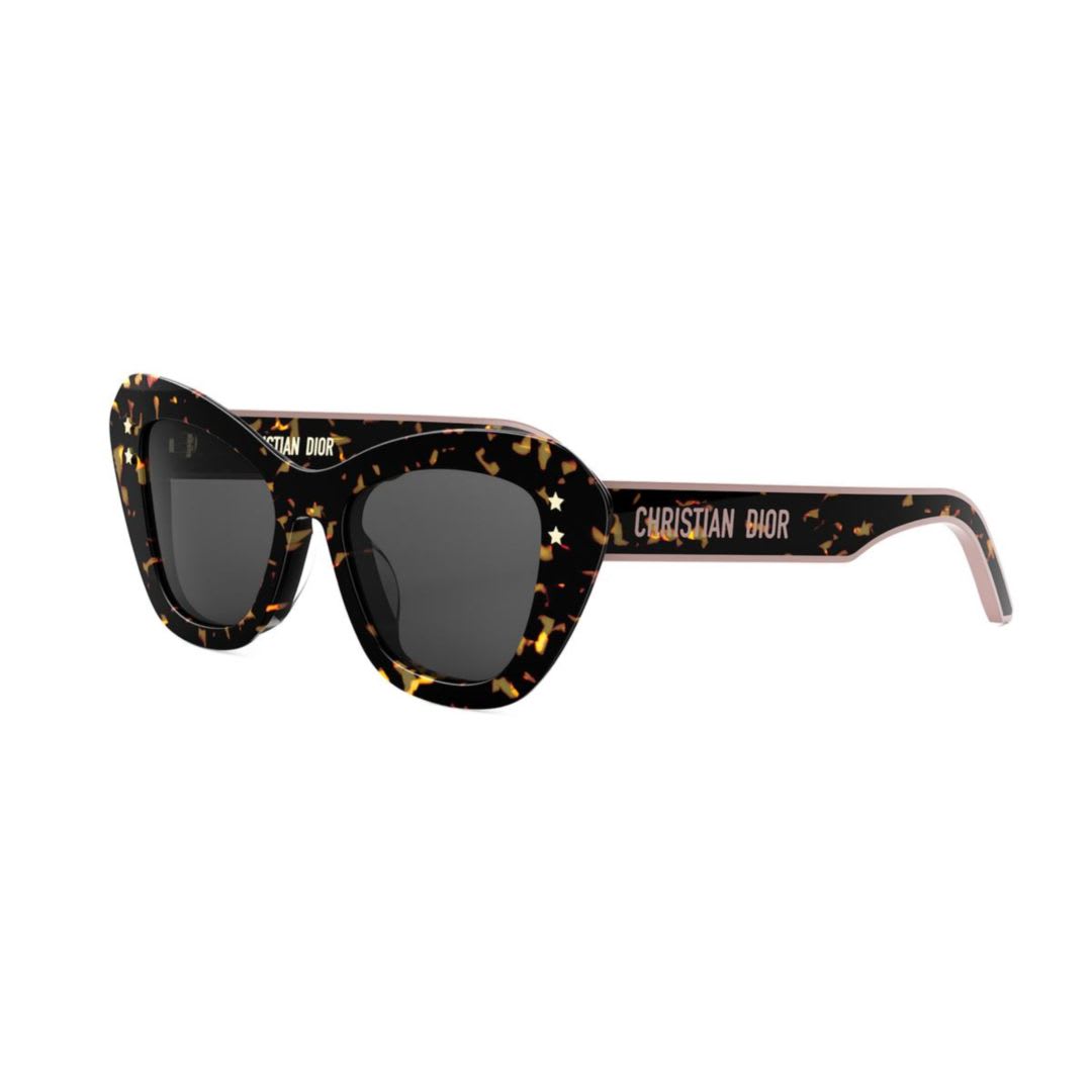 Dior Pacific B3u24a0 In Brown
